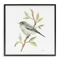 Stupell Industries Bird on Simple Branch Animals & Insects Painting Black Framed Art Print Wall Art, 12 x 12