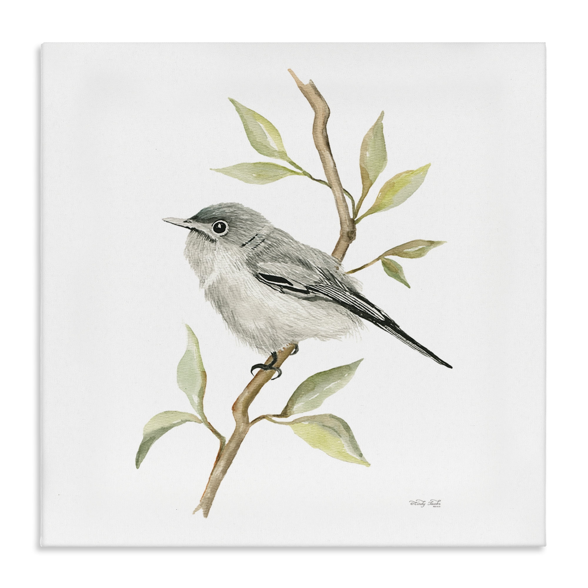 Stupell Industries Bird on Simple Branch Animals & Insects Painting Gallery Wrapped Canvas Art Print Wall Art, 30 x 30