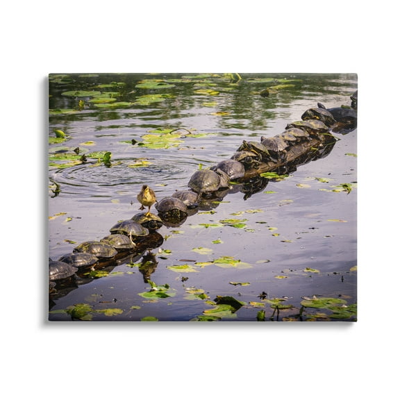 Stupell Industries Bird on Turtle Backs Landscape Photography Gallery Wrapped Canvas Art Print Wall Art, 20 x 16