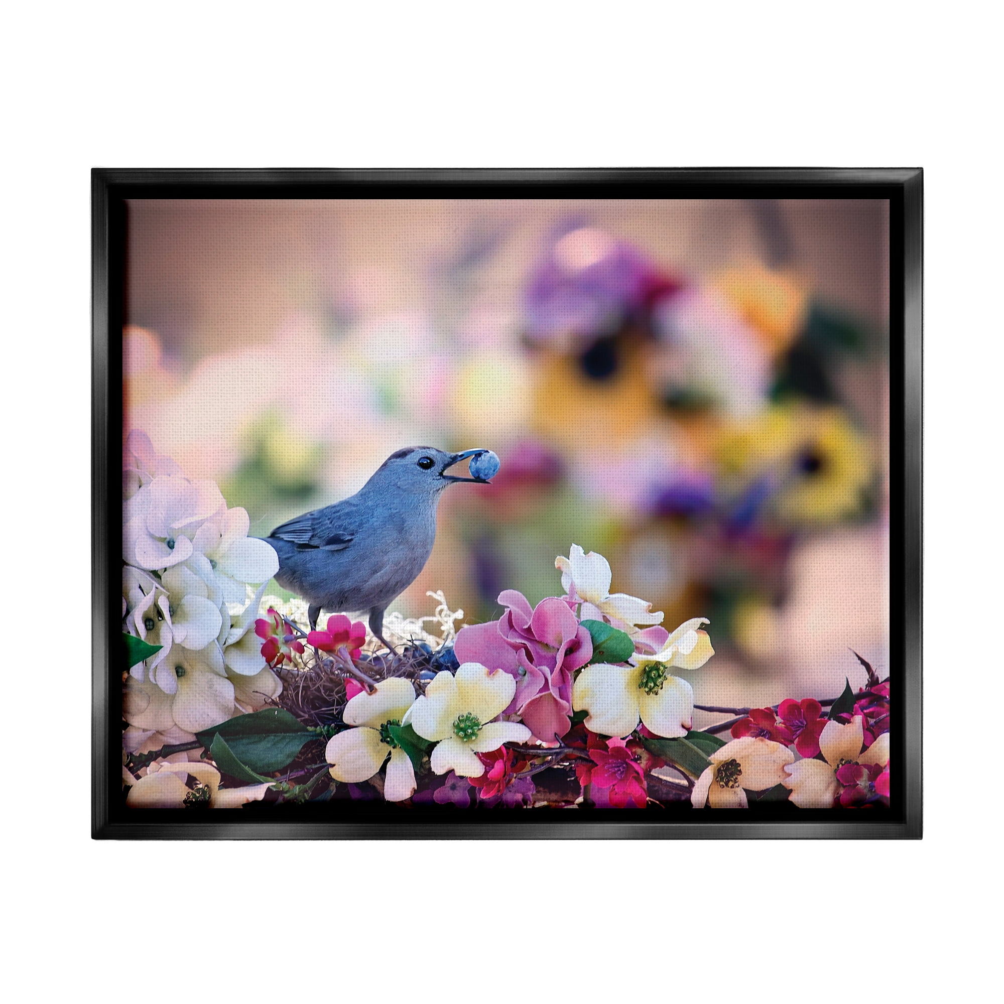 Stupell Industries Bird with Spring Flowers Animals & Insects Photography Black Floater Framed Art Print Wall Art, 21 x 17