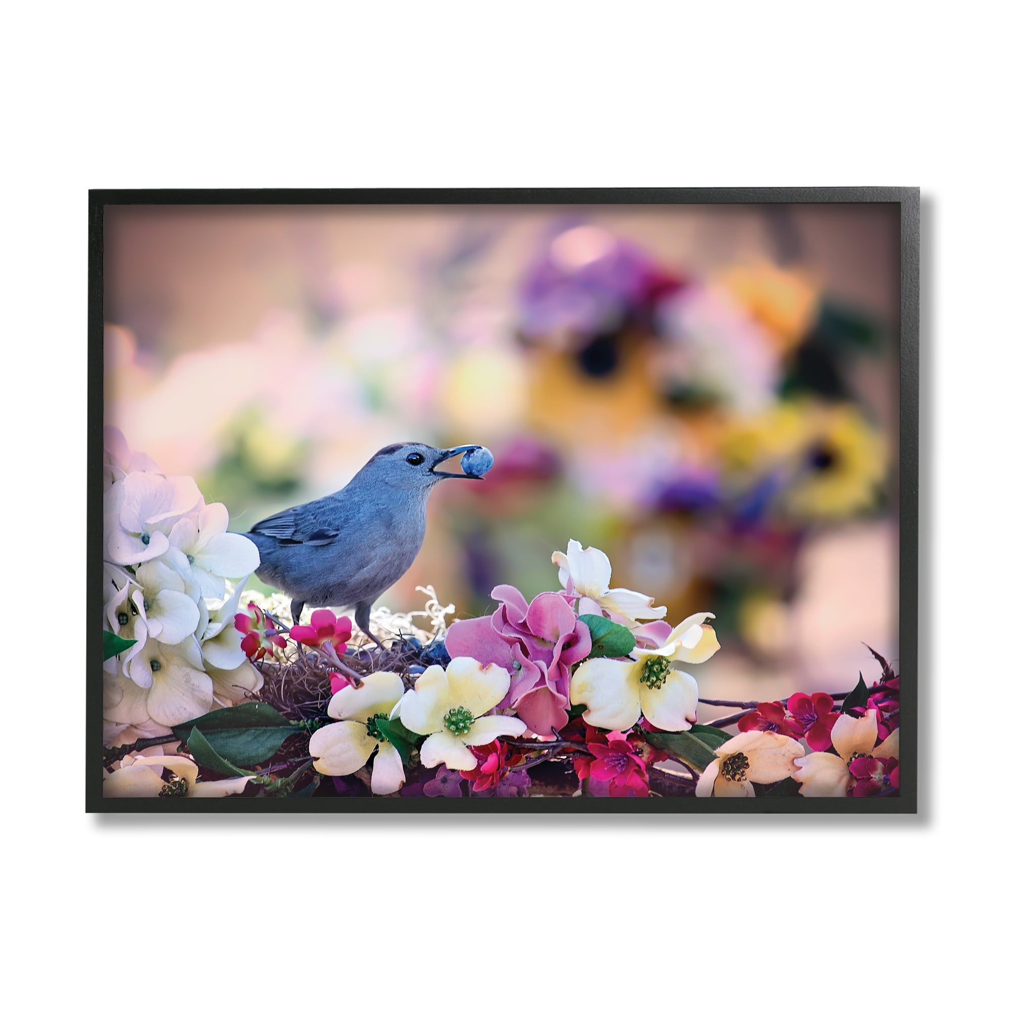 Stupell Industries Bird with Spring Flowers Animals & Insects Photography Black Framed Art Print Wall Art, 14 x 11
