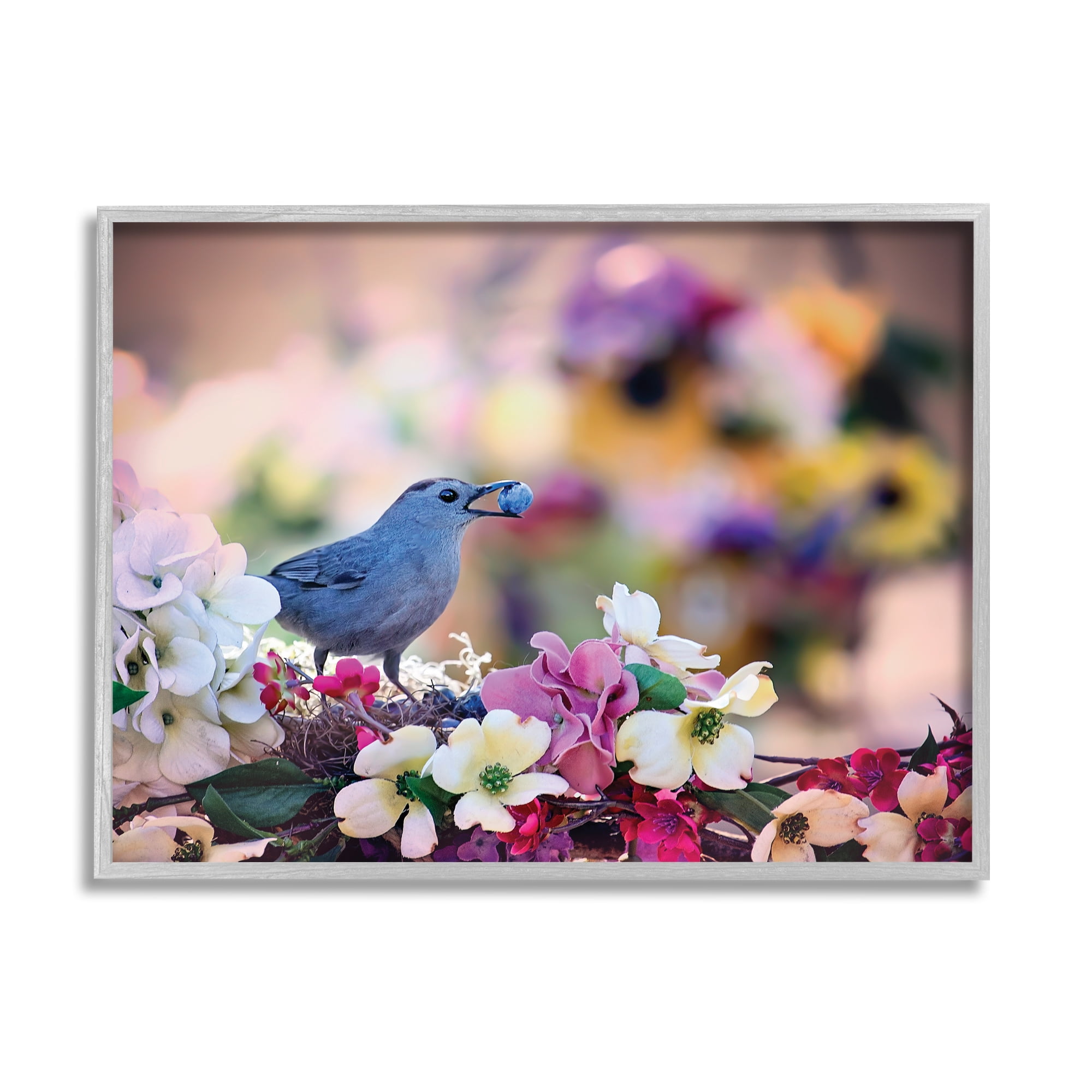 Stupell Industries Bird with Spring Flowers Animals & Insects Photography Gray Framed Art Print Wall Art, 14 x 11