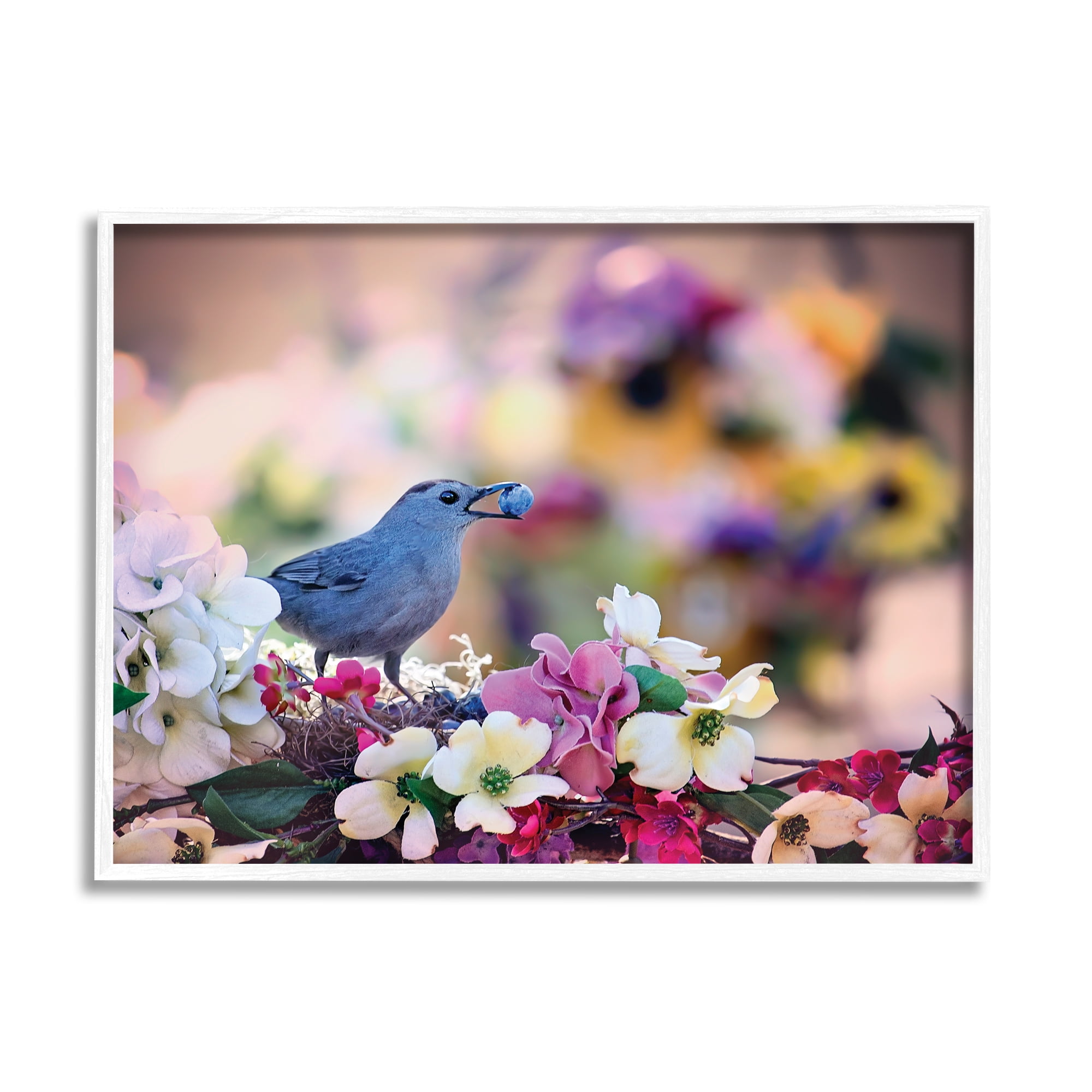 Stupell Industries Bird with Spring Flowers Animals & Insects Photography White Framed Art Print Wall Art, 30 x 24
