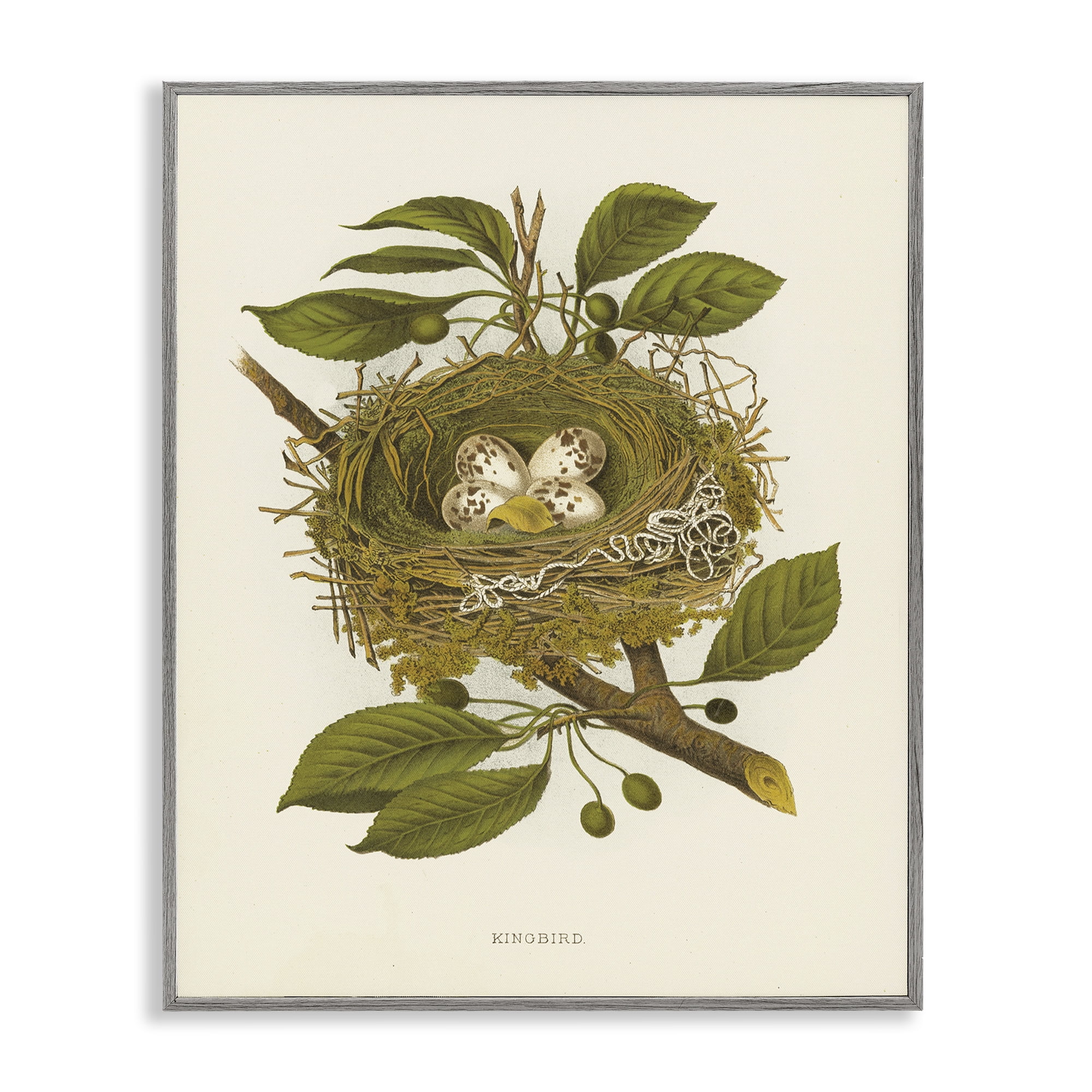 Stupell Industries Birdnest with Spotted Eggs Plants & Flowers Painting Gray Framed Art Print Wall Art, 24 x 30