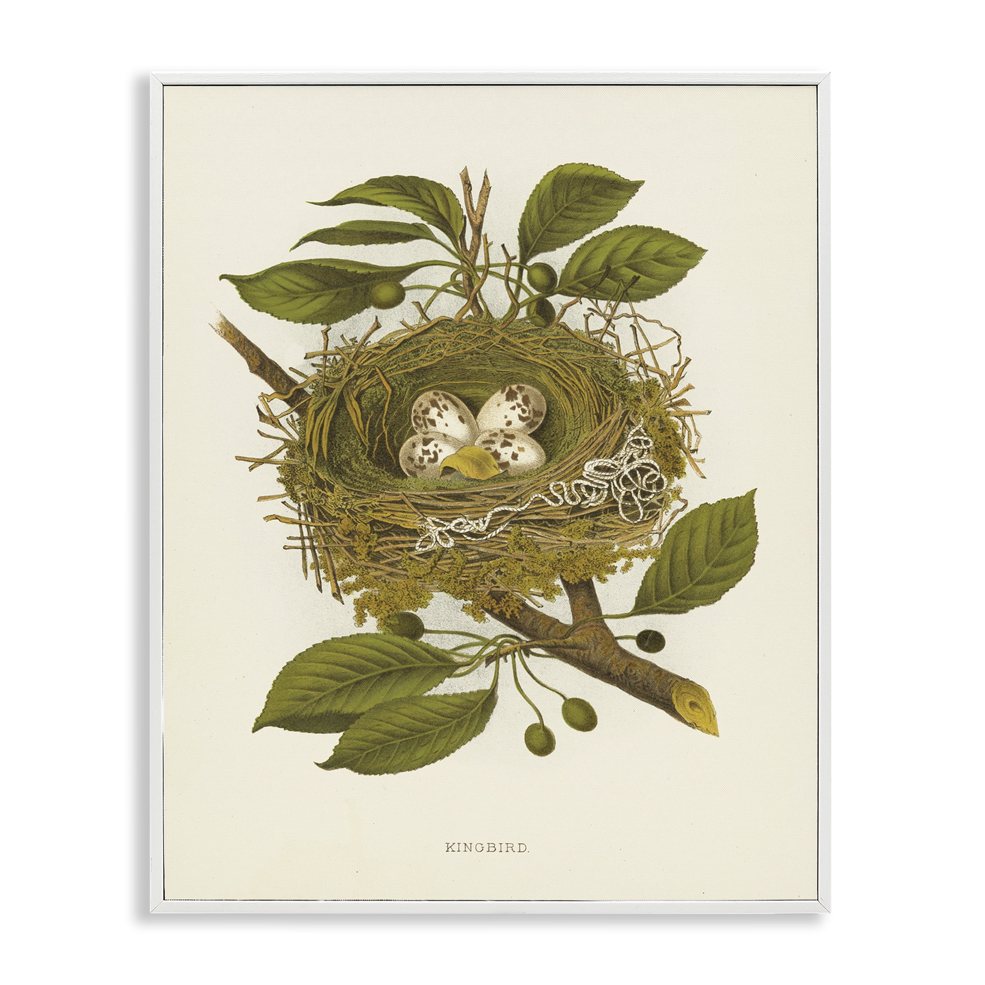 Stupell Industries Birdnest with Spotted Eggs Plants & Flowers Painting White Framed Art Print Wall Art, 24 x 30