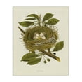 thumbnail image 1 of Stupell Industries Cottage Birdnest with Spotted Eggs Canvas Art, 24 x 30, by Tina Higgins Designs Inc., 1 of 8
