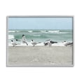 thumbnail image 1 of Stupell Industries Birds Gathering On Shore Rolling Ocean Waves Coastal Painting Gray Framed Art Print Wall Art, 1 of 5