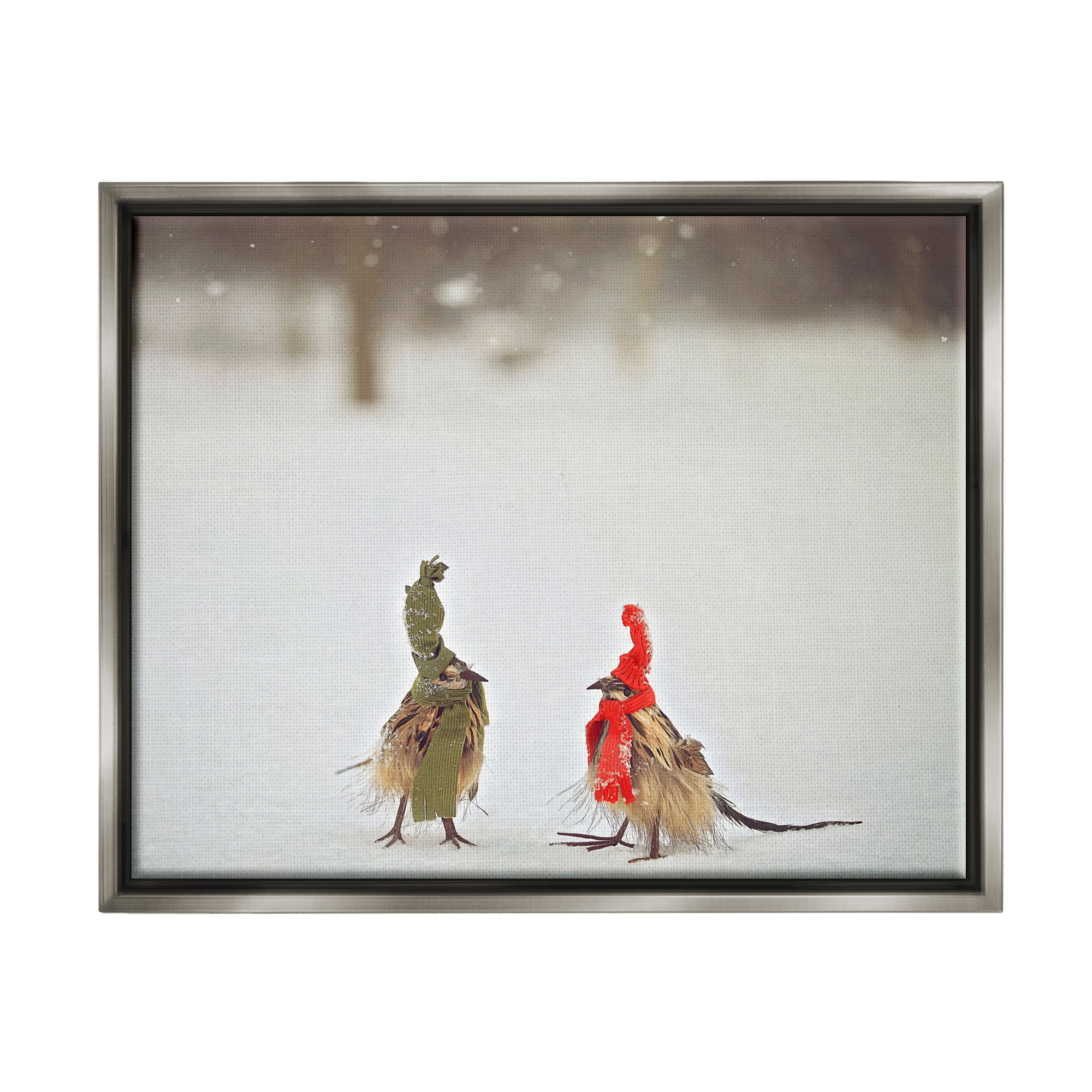 Stupell Industries Birds In Scarves Winter Snow Animals & Insects Photography Gray Floater Framed Art Print Wall Art