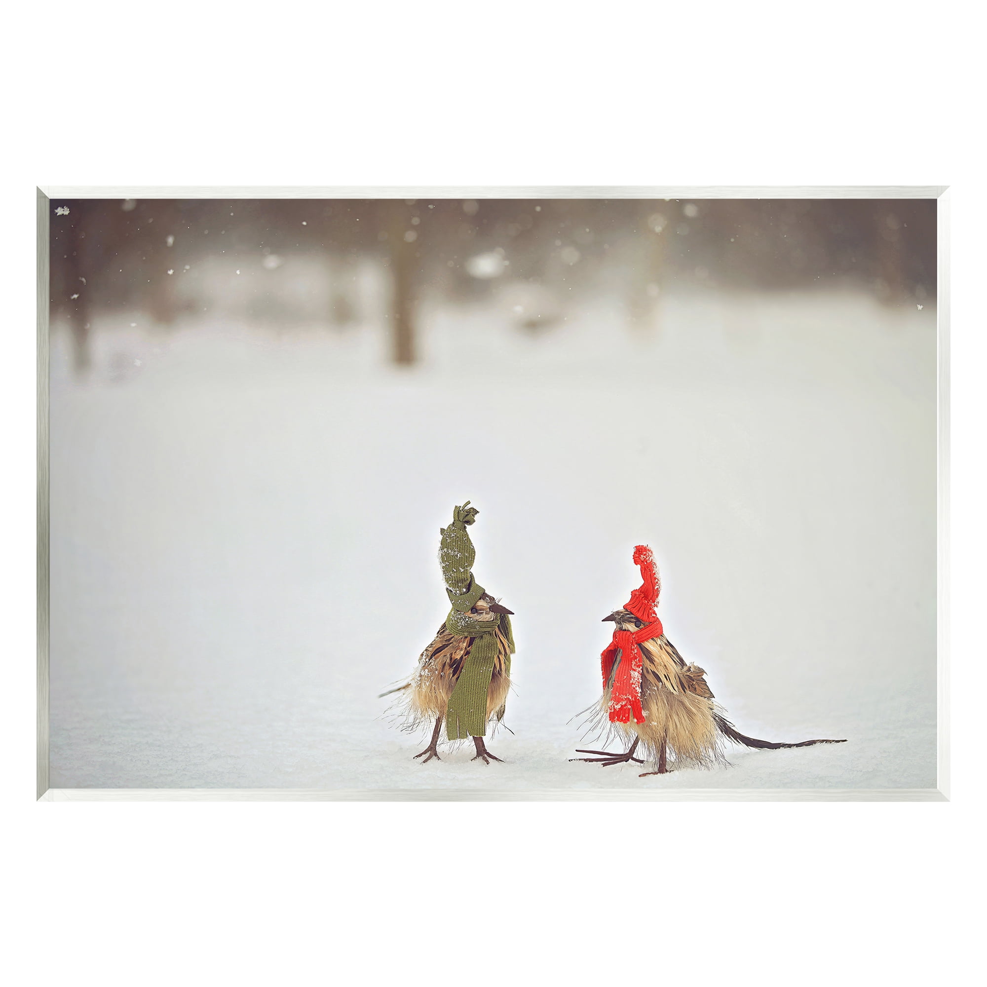 Stupell Industries Birds In Scarves Winter Snow Animals & Insects Photography Unframed Art Print Wall Art