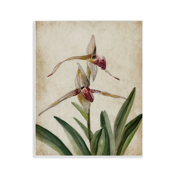 Stupell Industries Birds of Paradise Vintage Floral Painting Unframed Art Print Wall Art, 11 x 14