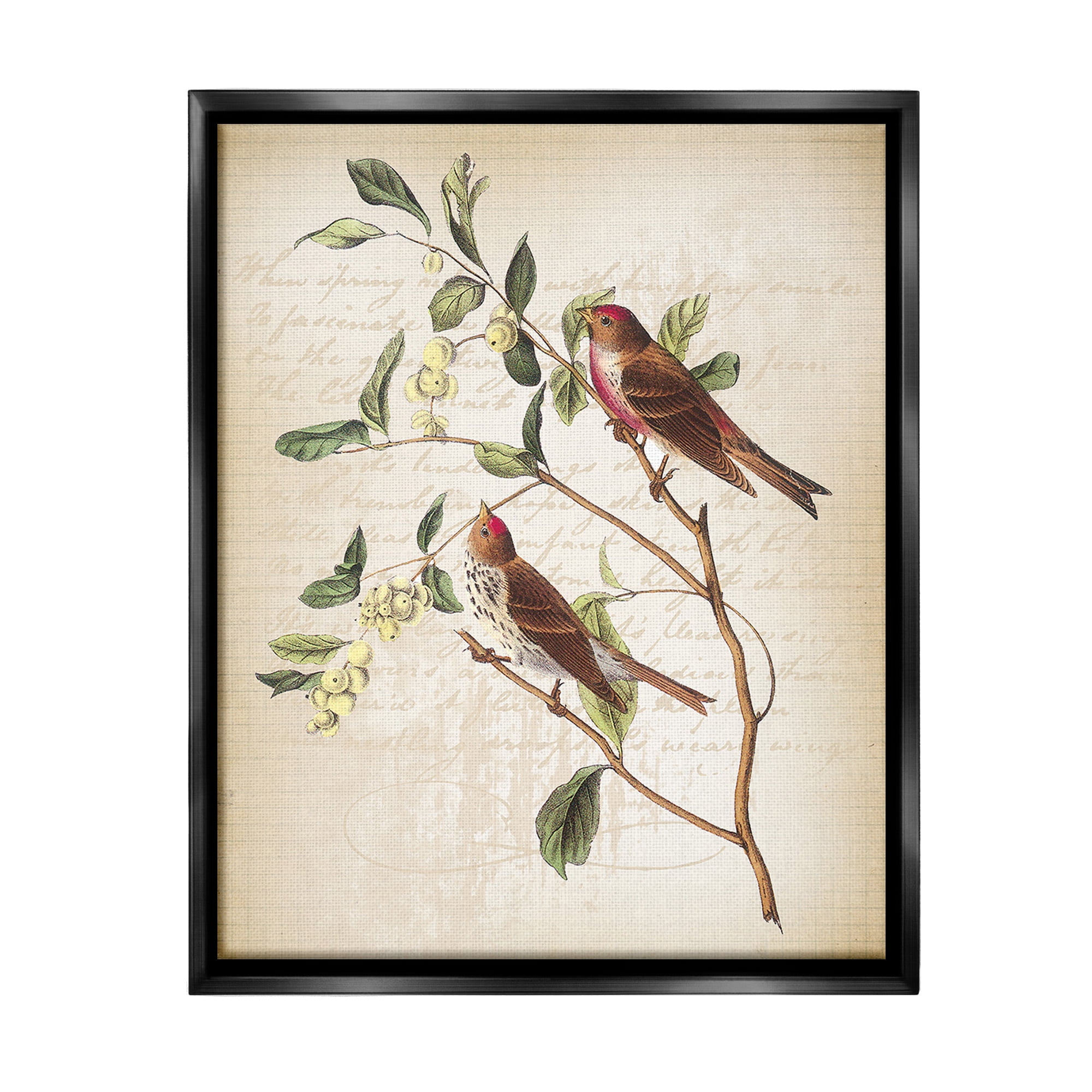 Stupell Industries Birds with Vintage Cursive Animals & Insects Painting Black Floater Framed Canvas Art Print Wall Art, 25 x 31