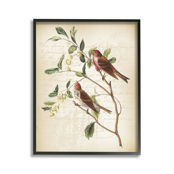 Stupell Industries Birds with Vintage Cursive Animals & Insects Painting Black Framed Art Print Wall Art, 11 x 14