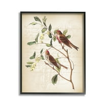 Stupell Industries Birds with Vintage Cursive Animals & Insects Painting Black Framed Art Print Wall Art, 11 x 14