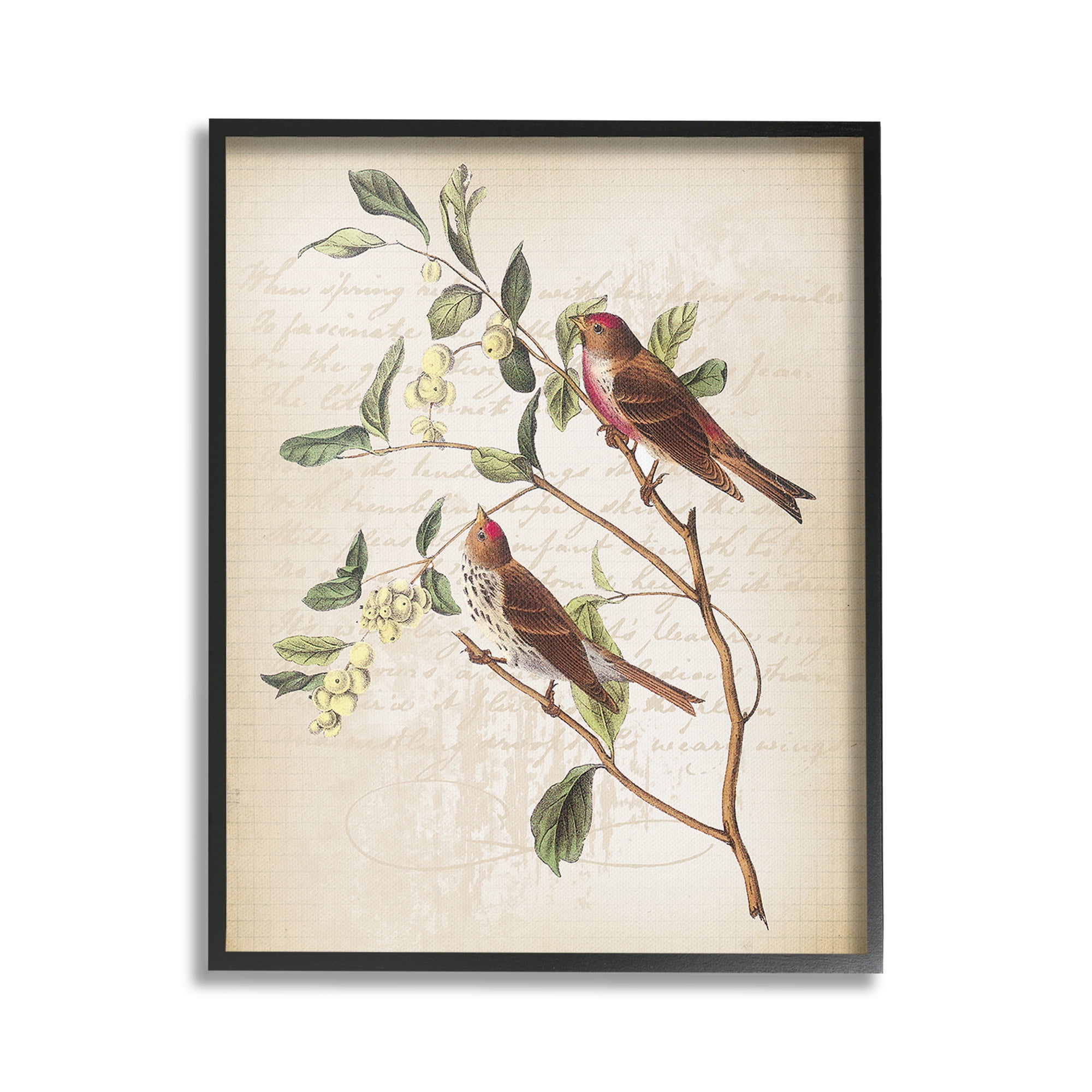 Stupell Industries Birds with Vintage Cursive Animals & Insects Painting Black Framed Art Print Wall Art, 24 x 30