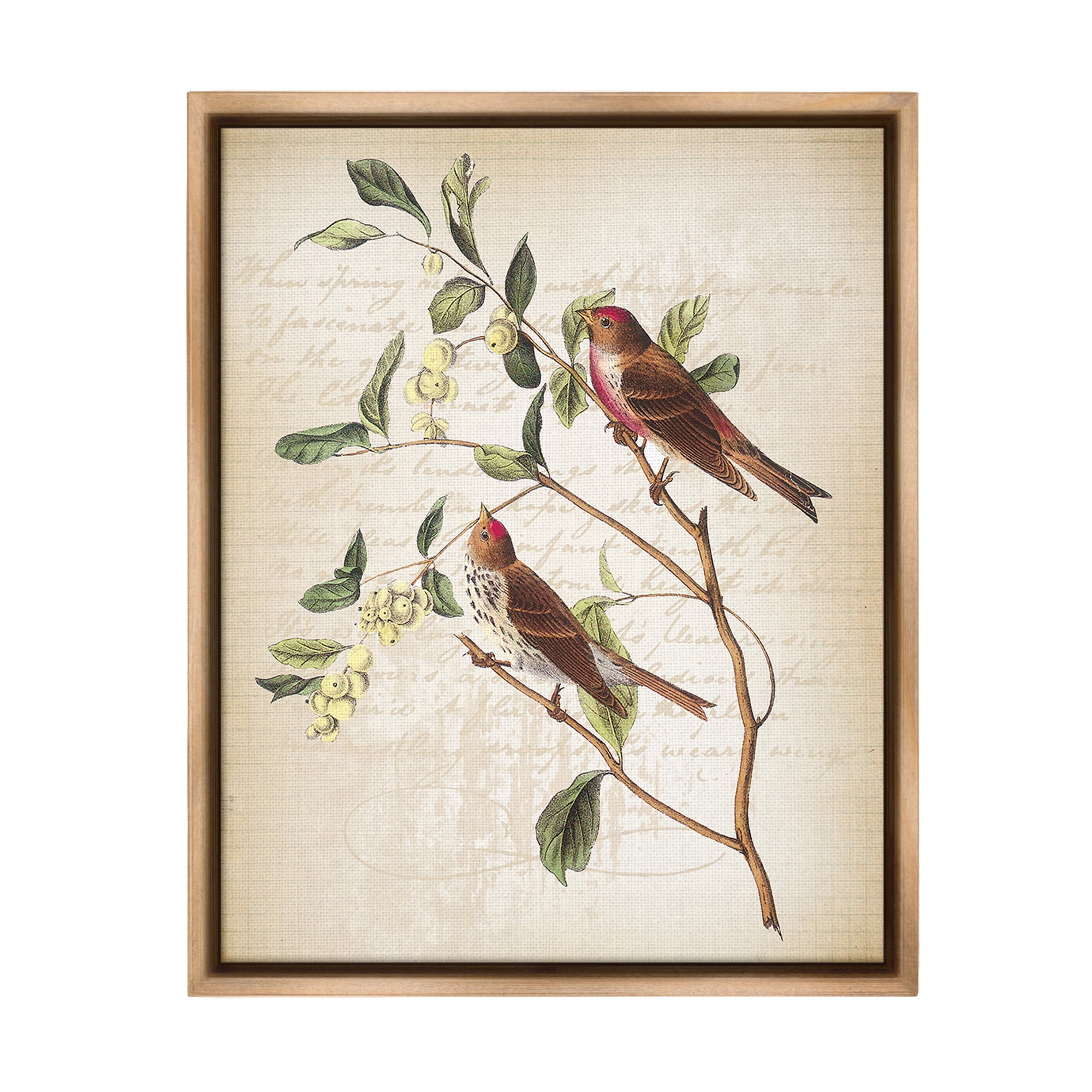 Stupell Industries Birds with Vintage Cursive Animals & Insects Painting Brown Floater Framed Canvas Art Print Wall Art, 17 x 21