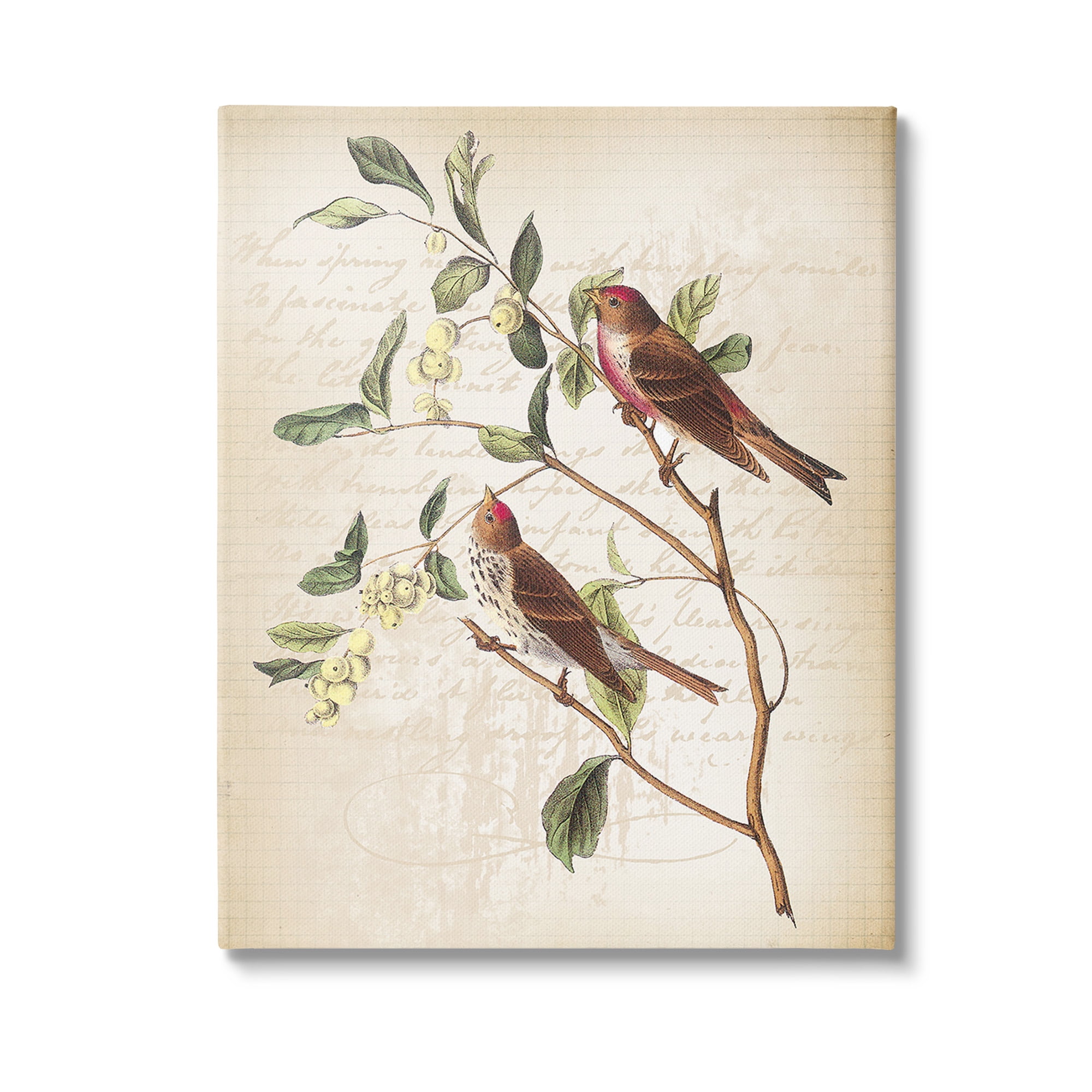 Stupell Industries Birds with Vintage Cursive Animals & Insects Painting Gallery Wrapped Canvas Art Print Wall Art, 36 x 48