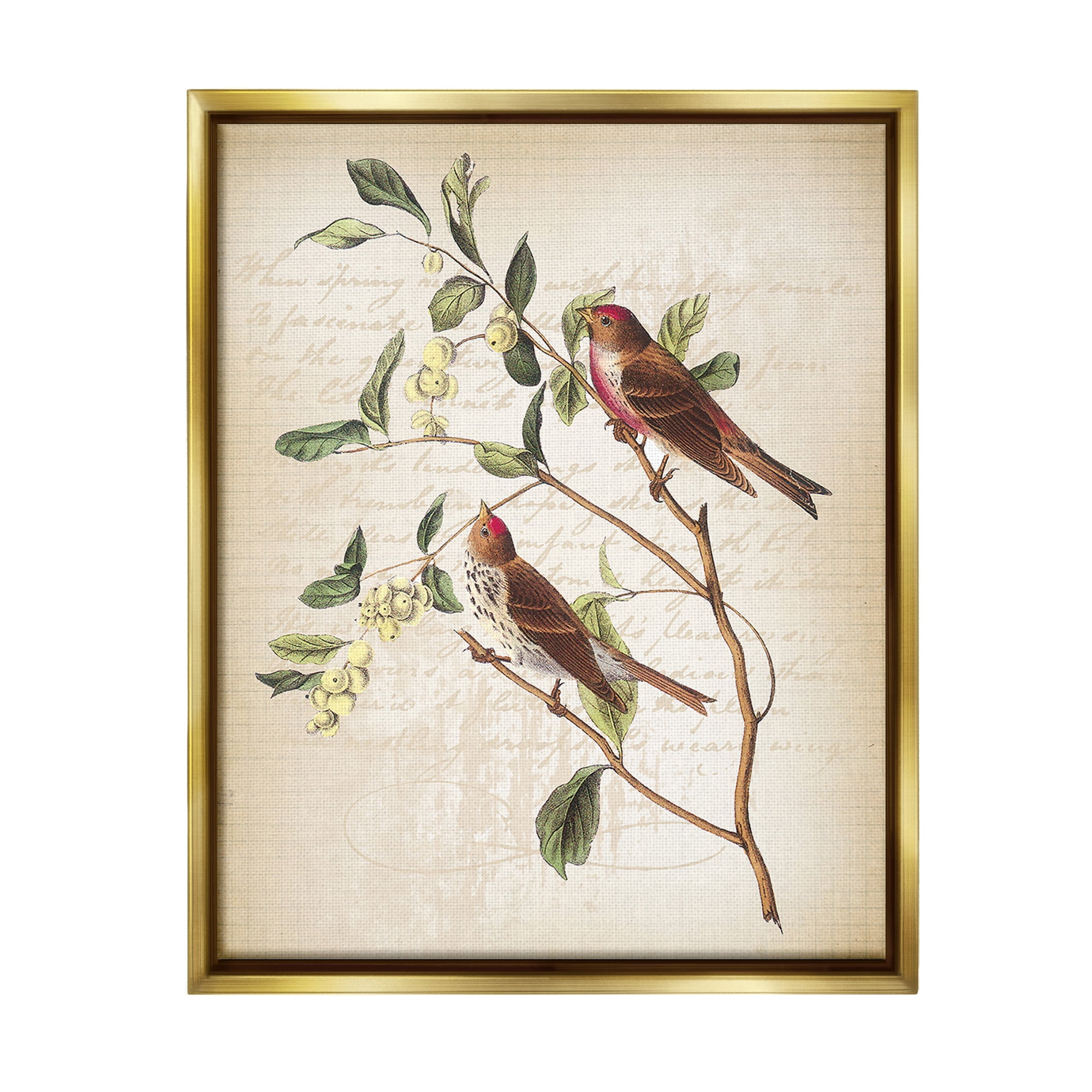 Stupell Industries Birds with Vintage Cursive Animals & Insects Painting Gold Floater Framed Canvas Art Print Wall Art, 17 x 21