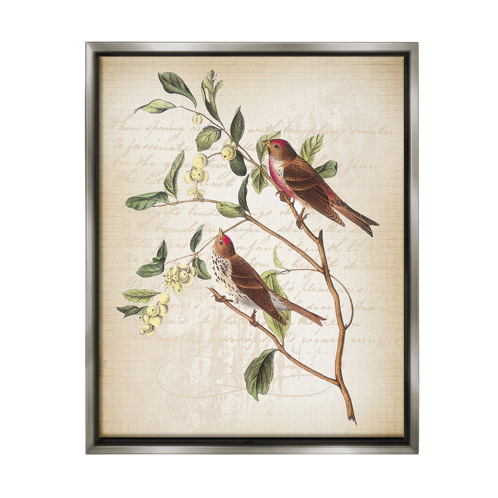 Stupell Industries Birds with Vintage Cursive Animals & Insects Painting Gray Floater Framed Canvas Art Print Wall Art, 17 x 21