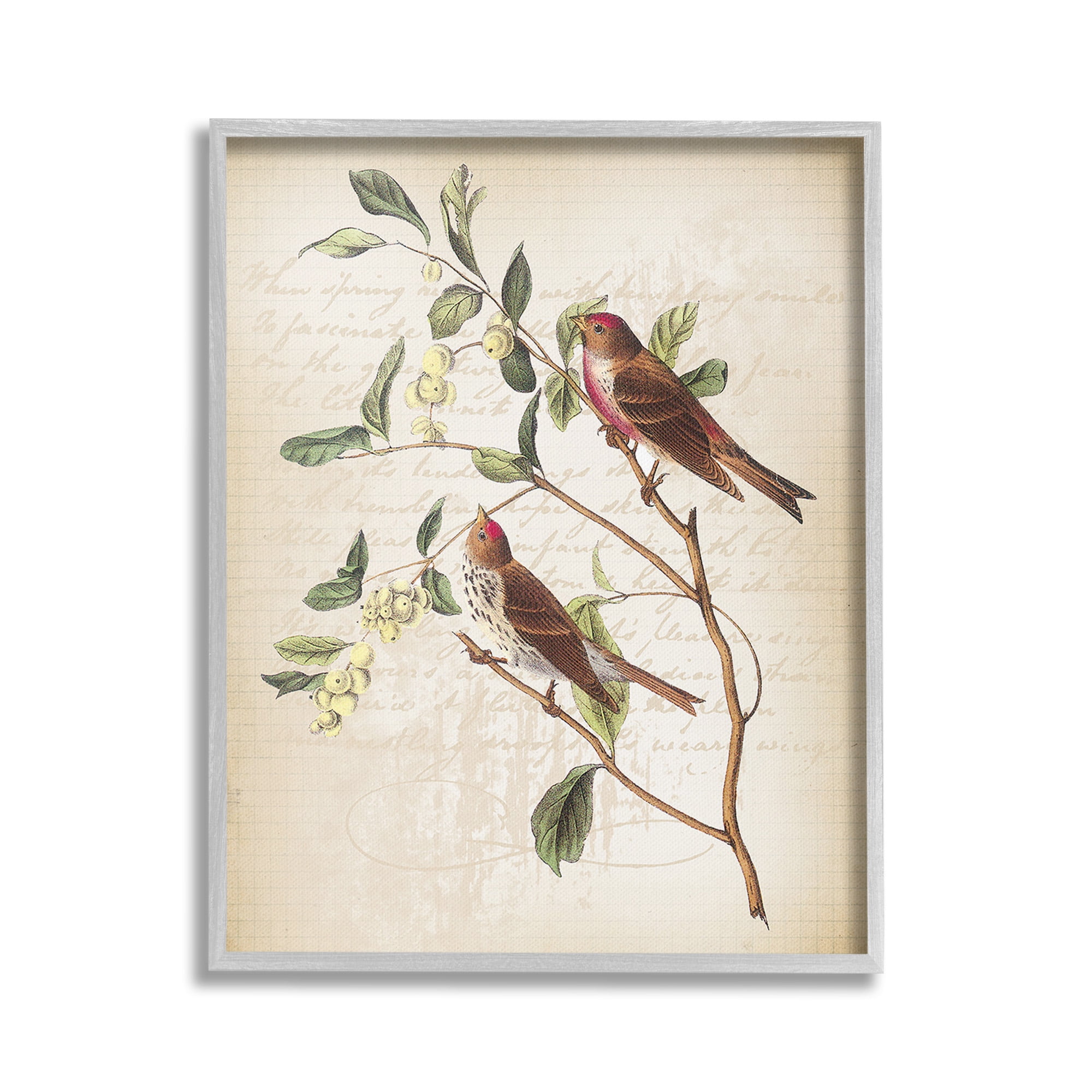 Stupell Industries Birds with Vintage Cursive Animals & Insects Painting Gray Framed Art Print Wall Art, 24 x 30