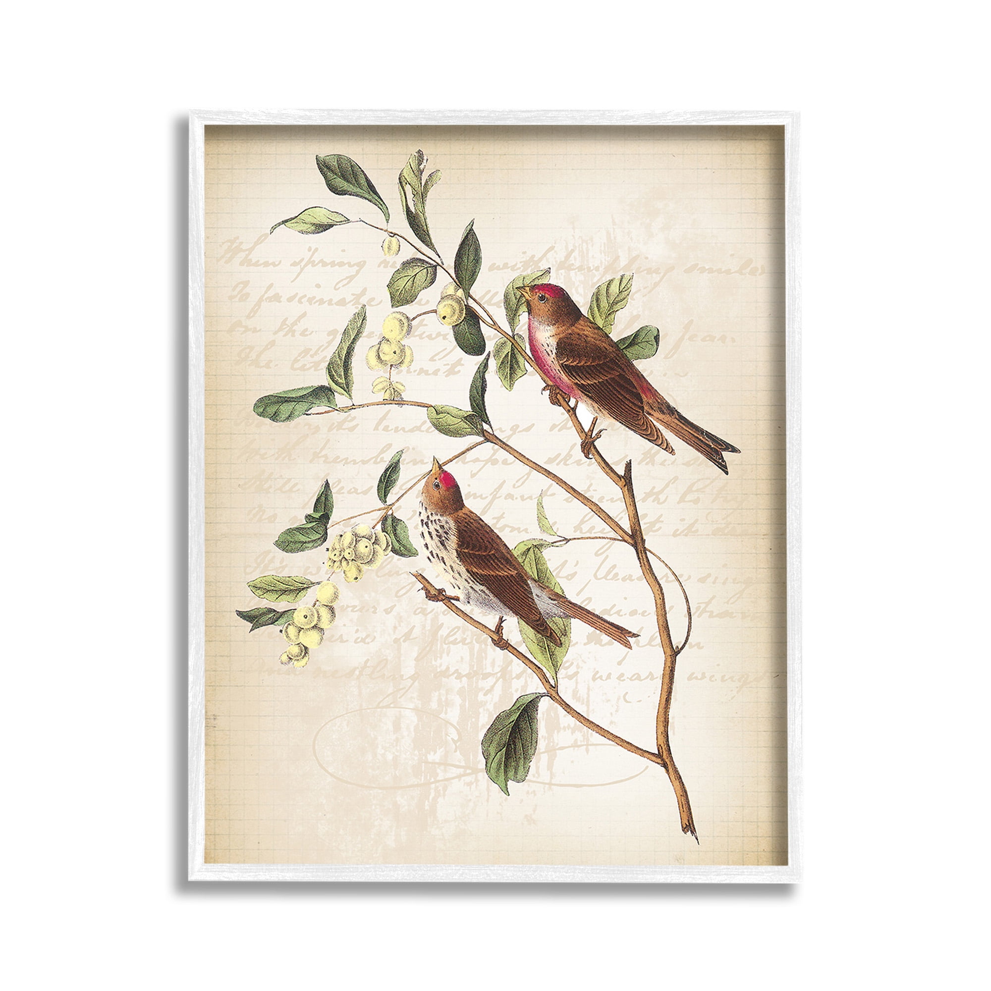 Stupell Industries Birds with Vintage Cursive Animals & Insects Painting White Framed Art Print Wall Art, 11 x 14