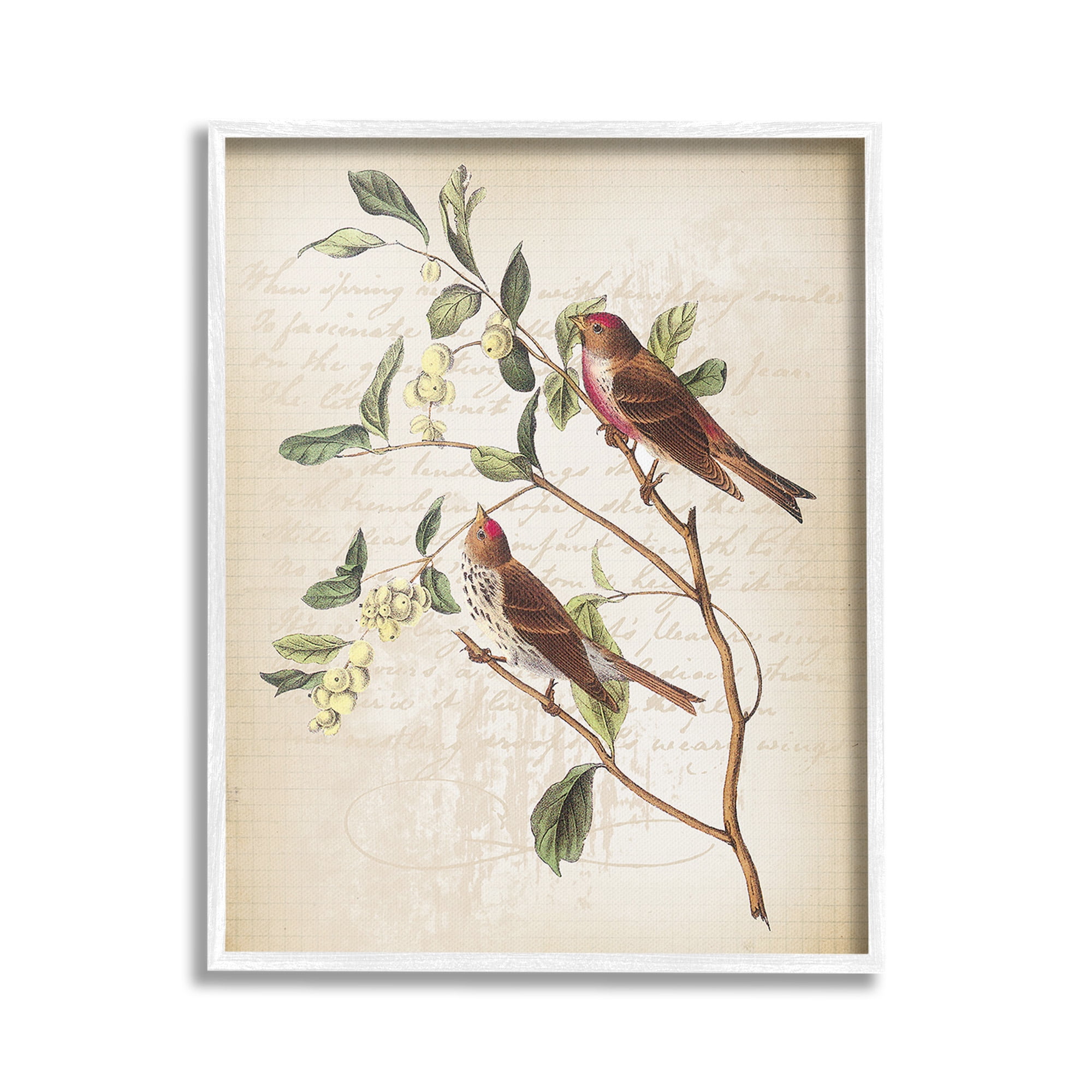 Stupell Industries Birds with Vintage Cursive Animals & Insects Painting White Framed Art Print Wall Art, 16 x 20