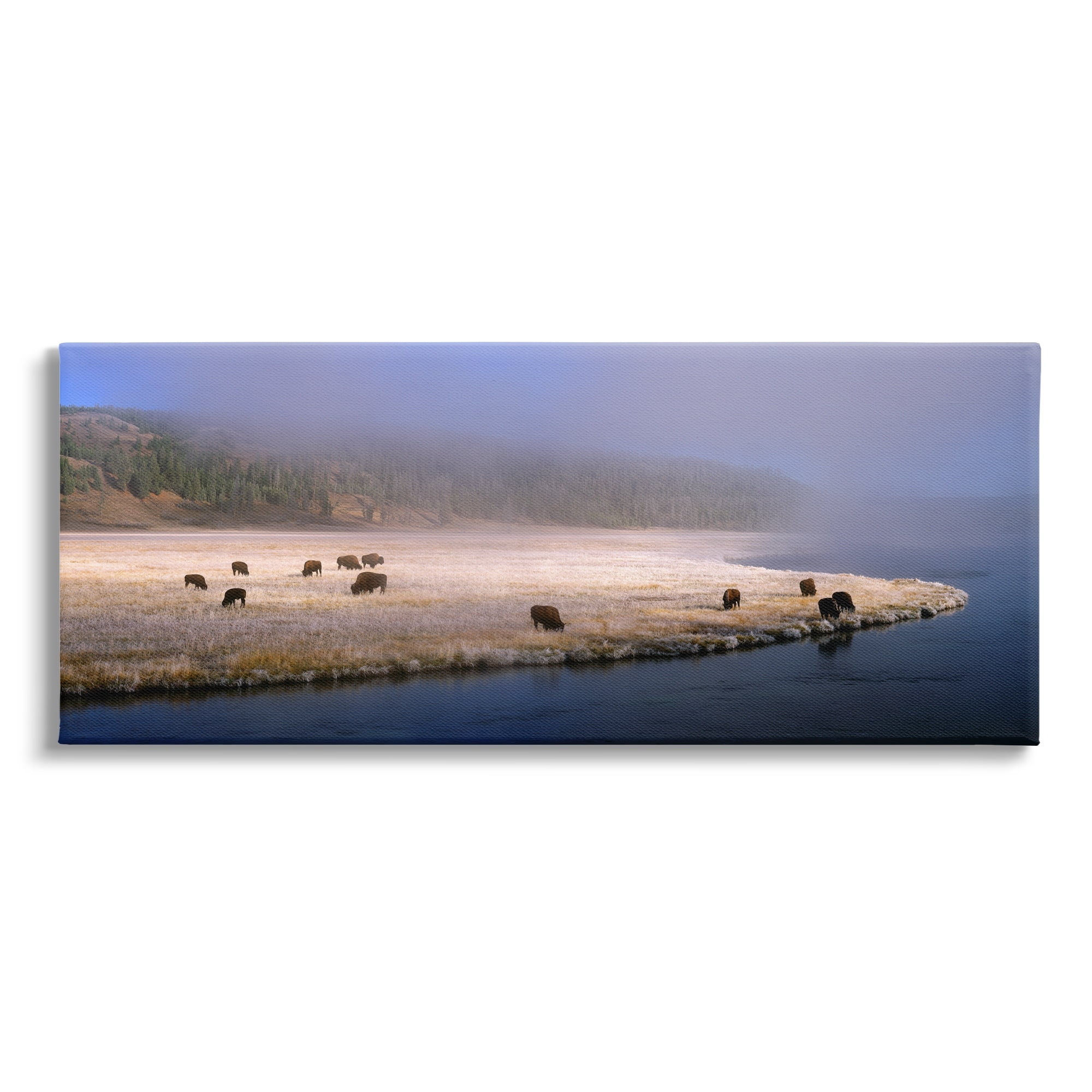Stupell Industries Bison Animals Grazing Rural River Nature Photography Photograph Gallery Wrapped Canvas Print Wall Art, Design by Jim Becia