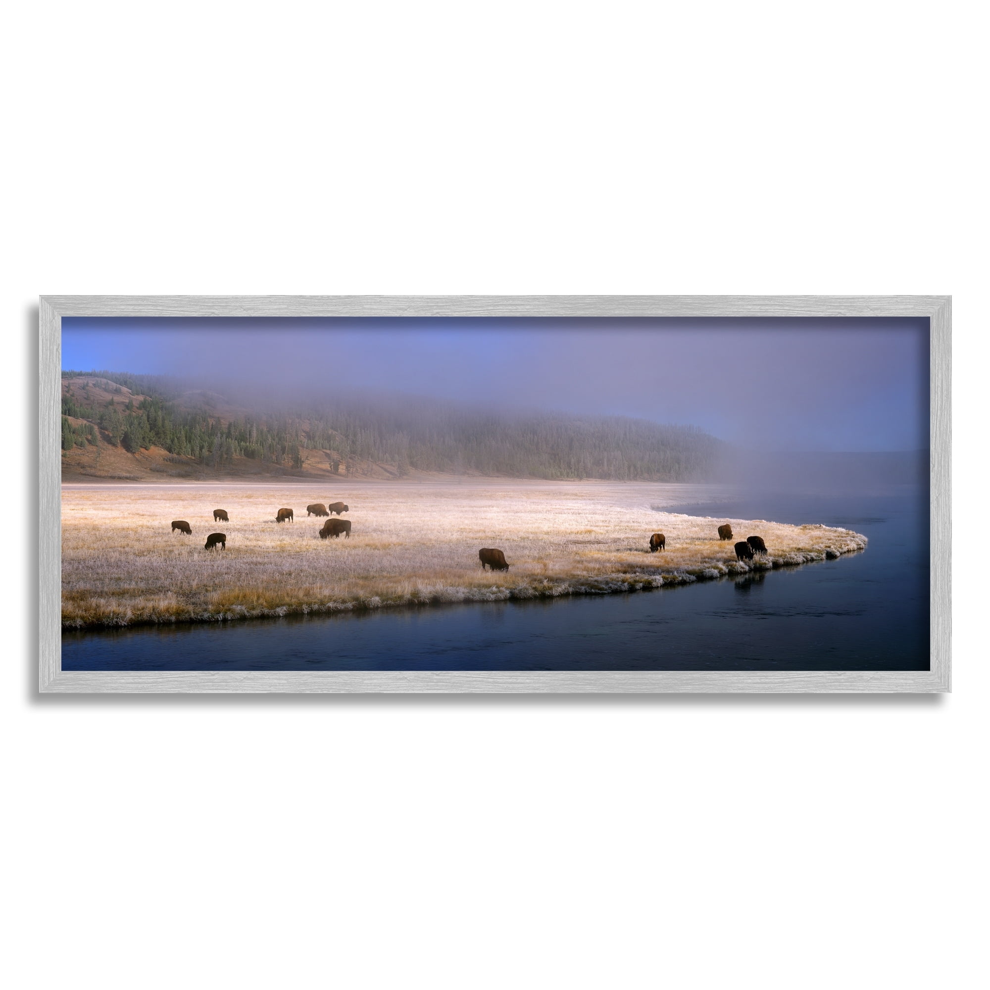 Stupell Industries Bison Animals Grazing Rural River Nature Photography Photograph Gray Framed Art Print Wall Art, Design by Jim Becia