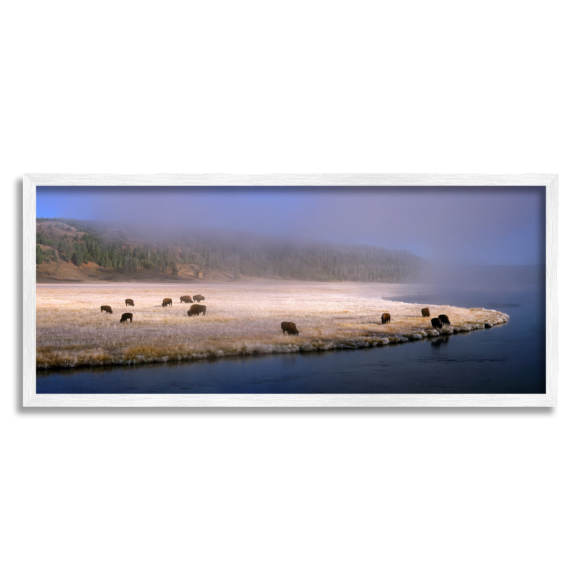 Stupell Industries Bison Animals Grazing Rural River Nature Photography Photograph White Framed Art Print Wall Art, Design by Jim Becia