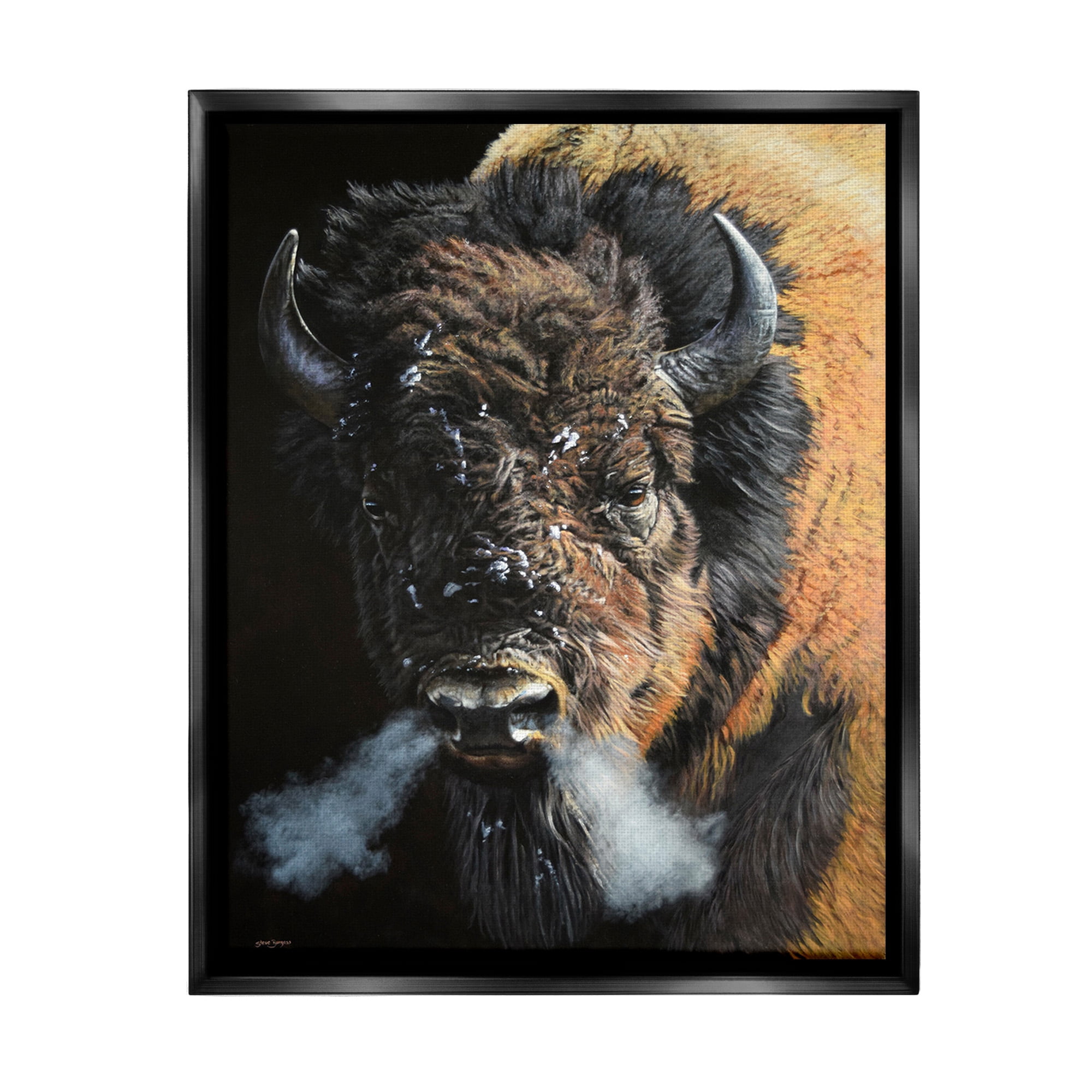 Stupell Industries Bison Breathing Steam Animals & Insects Photography Black Floater Framed Canvas Art Print Wall Art, 17 x 21