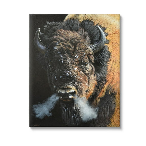 Stupell Industries Bison Breathing Steam Animals & Insects Photography Gallery Wrapped Canvas Art Print Wall Art, 16 x 20