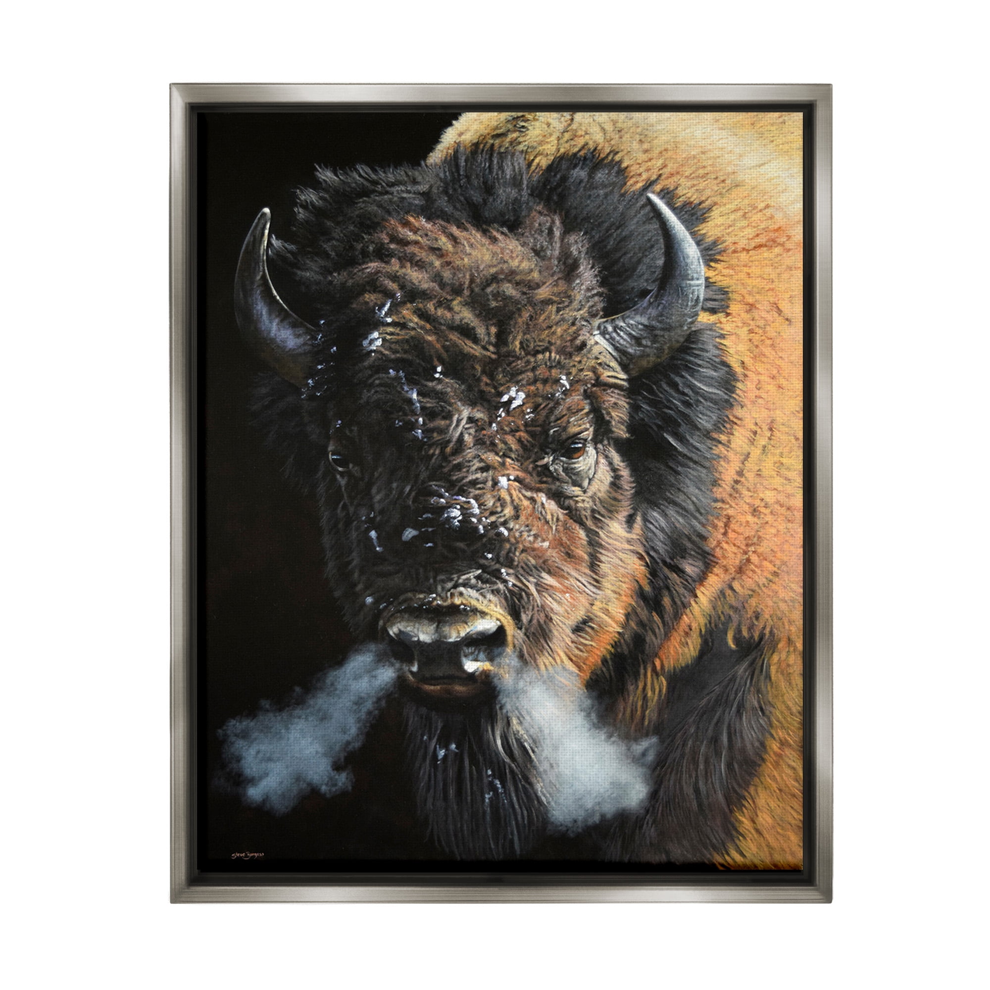 Stupell Industries Bison Breathing Steam Animals & Insects Photography Gray Floater Framed Canvas Art Print Wall Art, 17 x 21