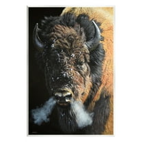Stupell Industries Bison Breathing Steam Animals & Insects Photography Unframed Art Print Wall Art, 10 x 15