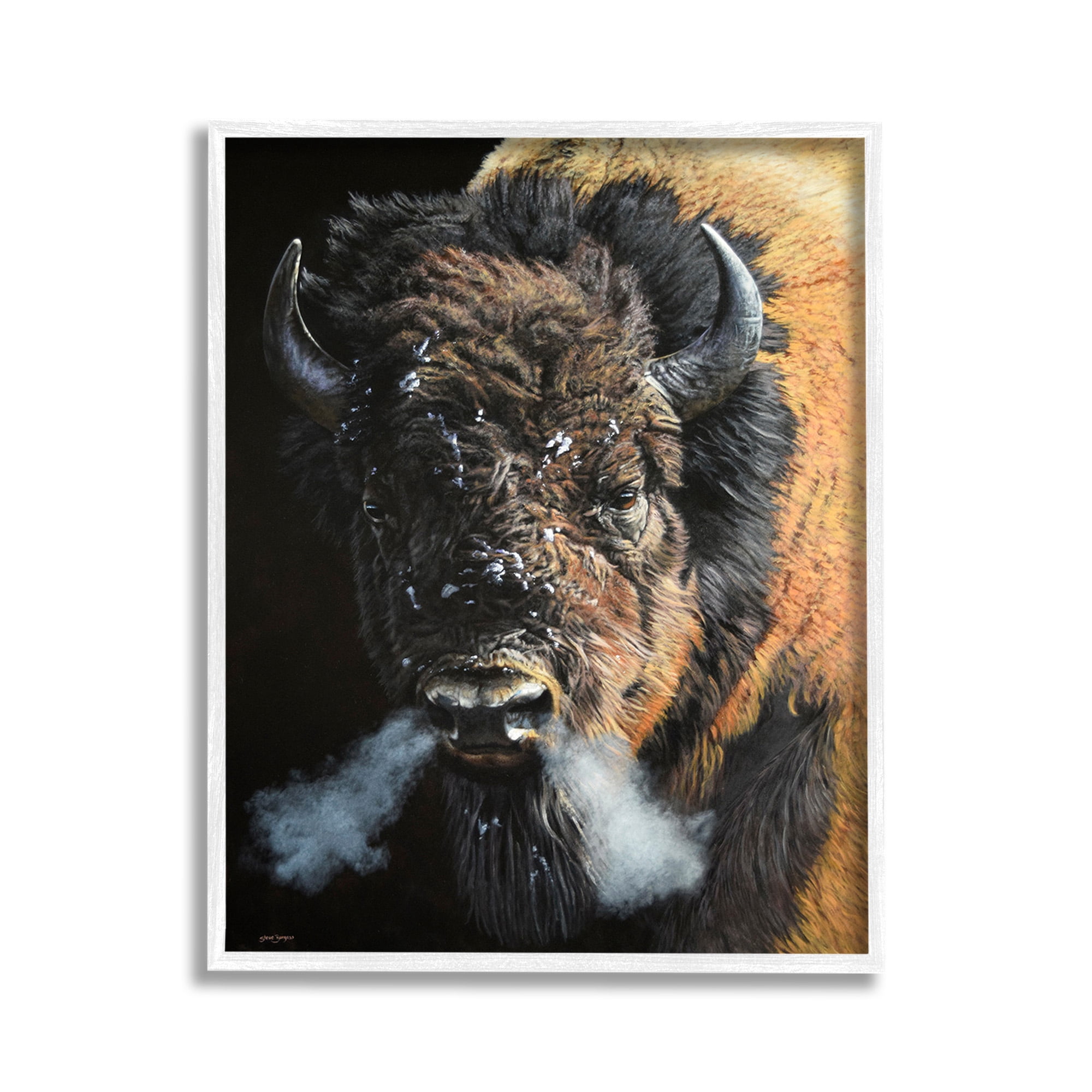 Stupell Industries Bison Breathing Steam Animals & Insects Photography White Framed Art Print Wall Art, 11 x 14