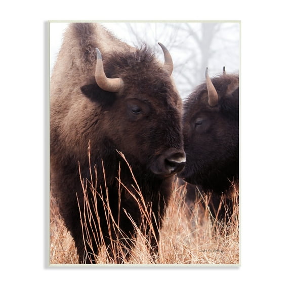 Stupell Industries Bison Cattle Couple Tall Grass Autumn Country Photography, 10 x 15,Design by Debra Van Swearingen
