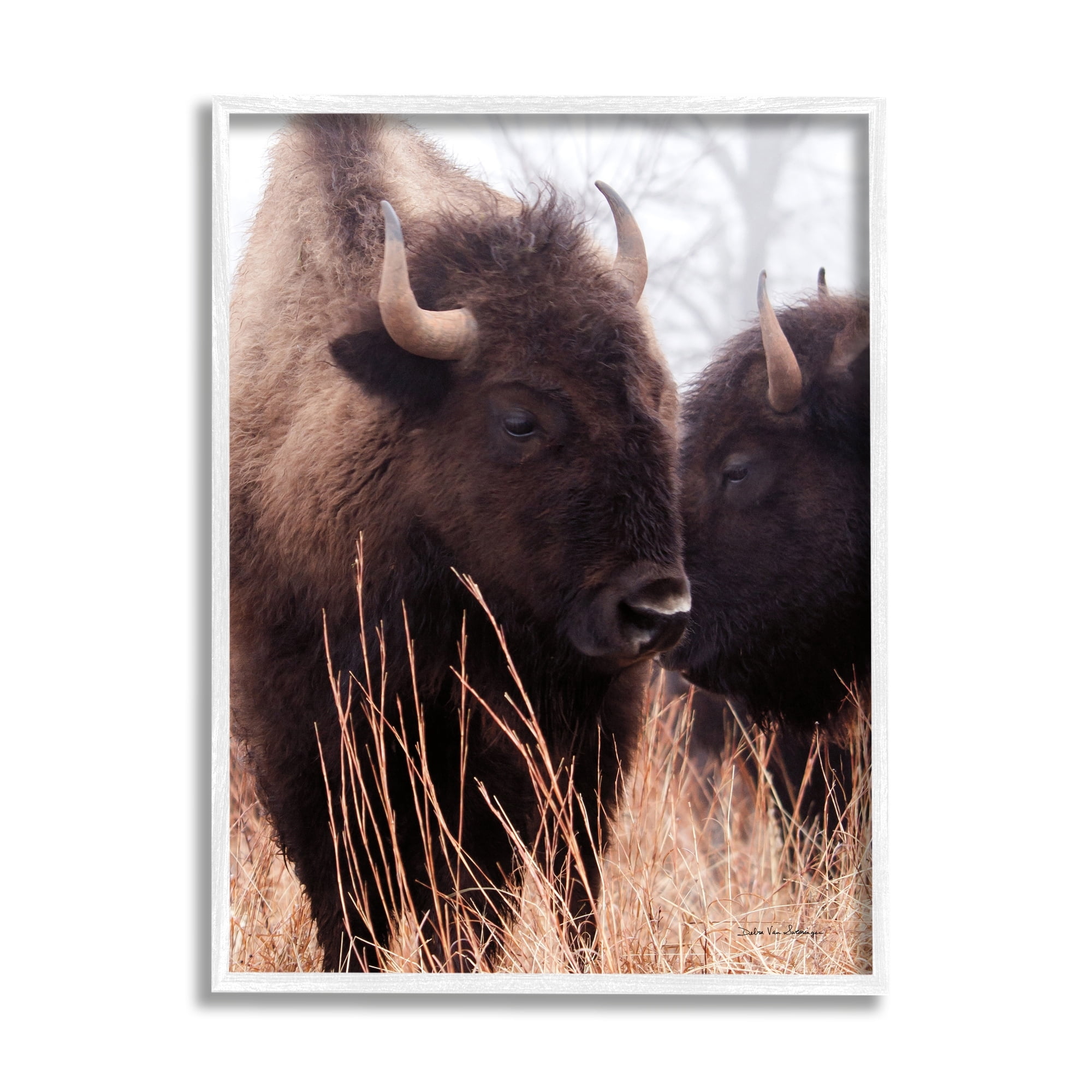 Stupell Industries Bison Cattle Couple Tall Grass Autumn Country Photography, 11 x 14,Design by Debra Van Swearingen