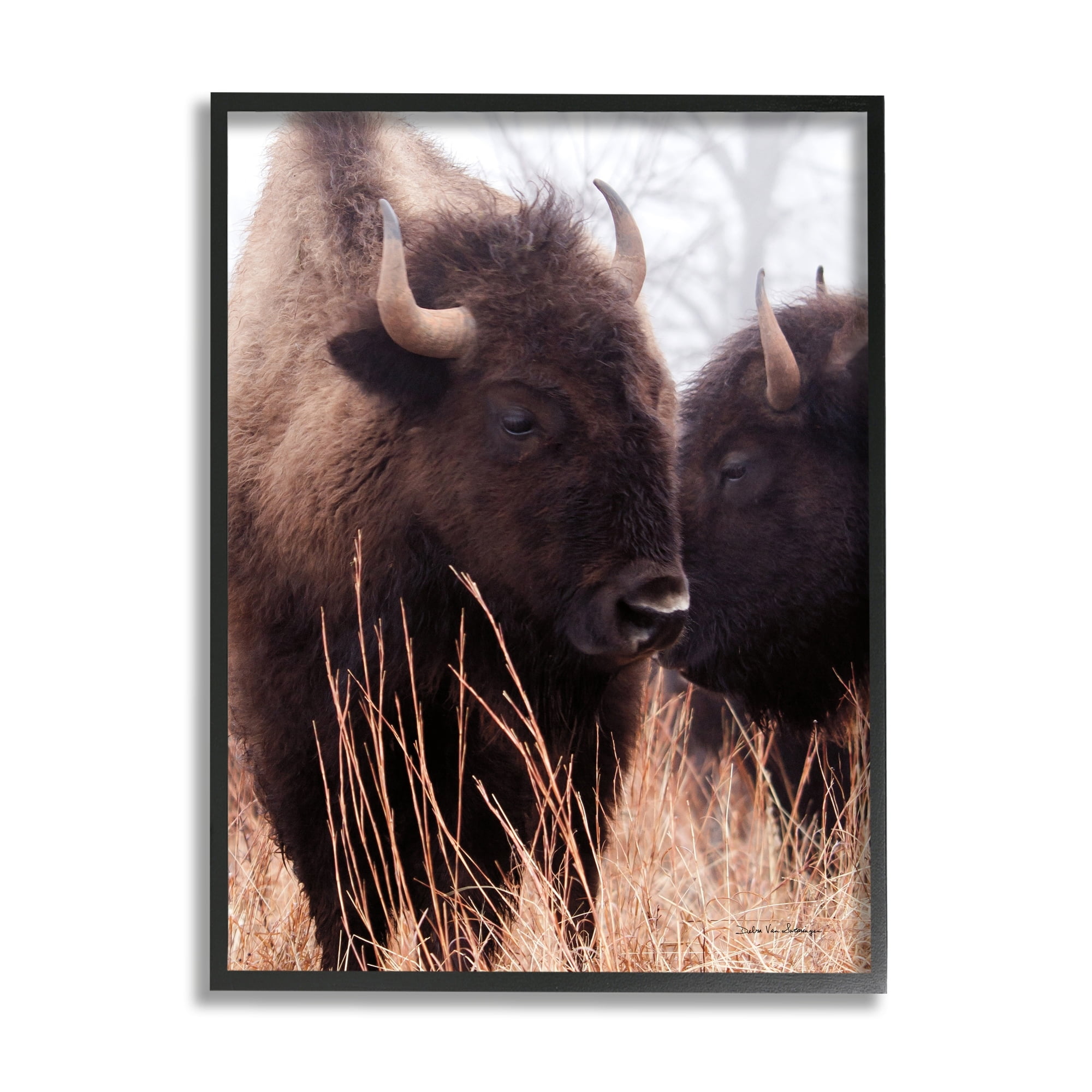 Stupell Industries Bison Cattle Couple Tall Grass Autumn Country Photography, 16 x 20,Design by Debra Van Swearingen