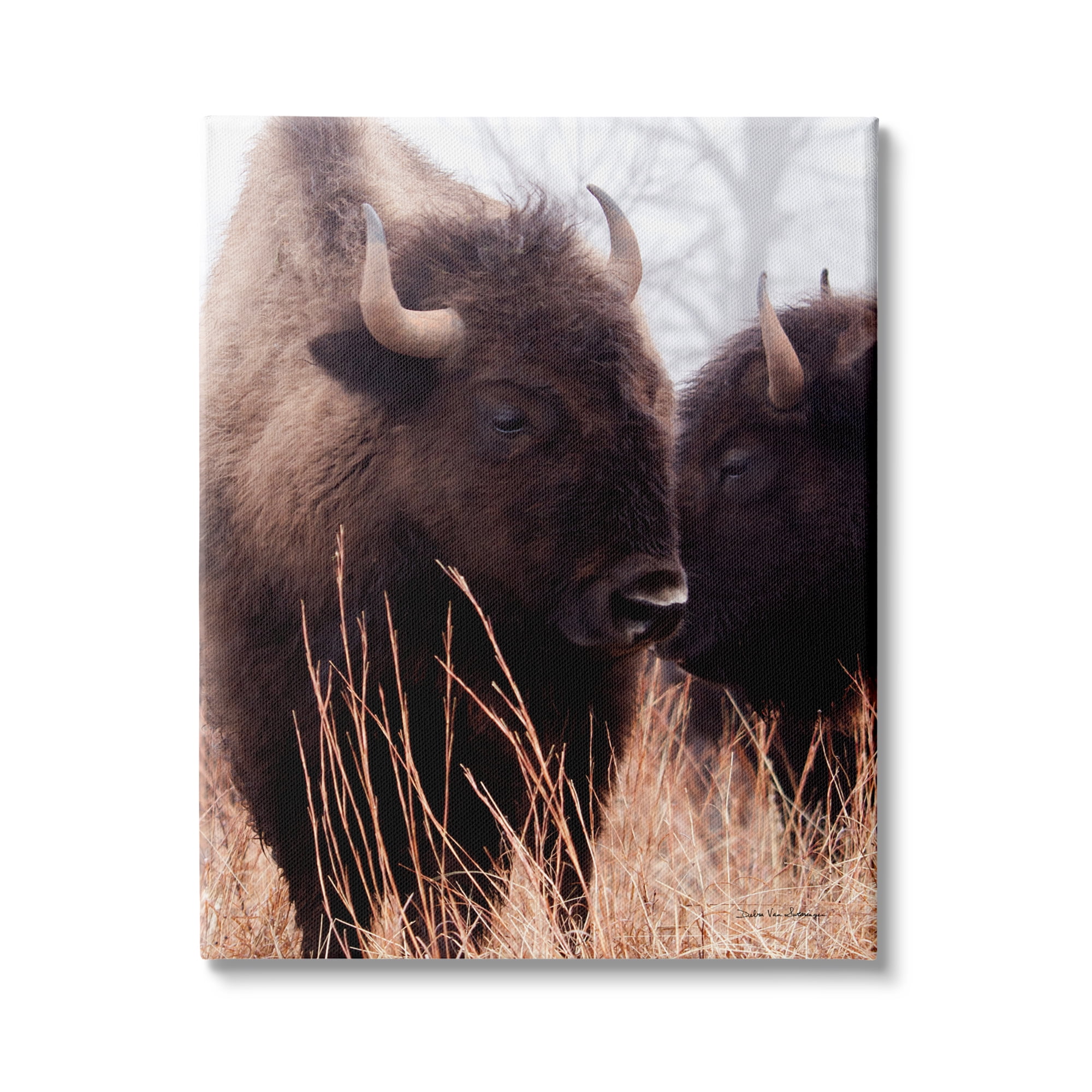 Stupell Industries Bison Cattle Couple Tall Grass Autumn Country Photography, 36 x 48,Design by Debra Van Swearingen
