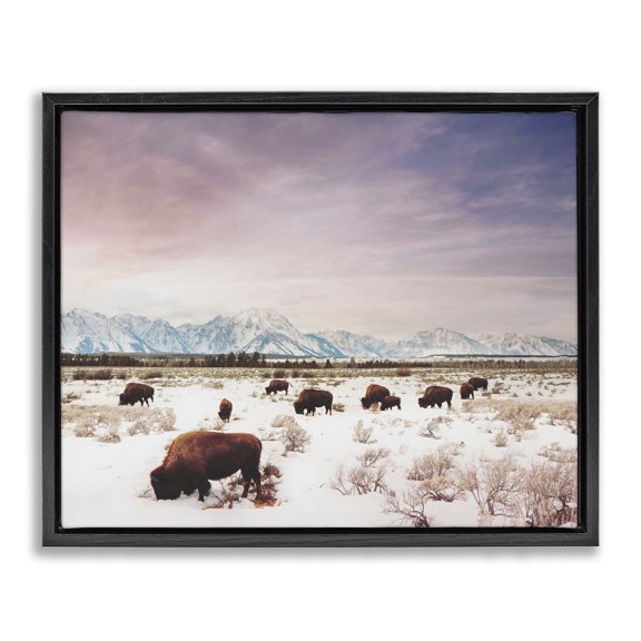Stupell Industries Rustic Lodge Bison Desert Mountains Scene Black Floating Frame Canvas Art, 31 x 25, by Annie Bailey Art