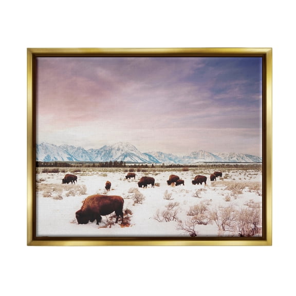 Stupell Industries Bison Desert Mountains Scene Animals & Insects Photography Gold Floater Framed Art Print Wall Art, 21 x 17