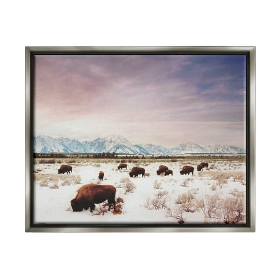 Stupell Industries Bison Desert Mountains Scene Animals & Insects Photography Gray Floater Framed Art Print Wall Art, 21 x 17