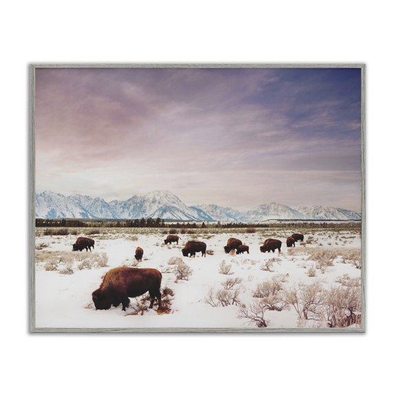 Stupell Industries Rustic Lodge Bison Desert Mountains Scene Gray Framed Giclee Art, 14 x 11, by Annie Bailey Art
