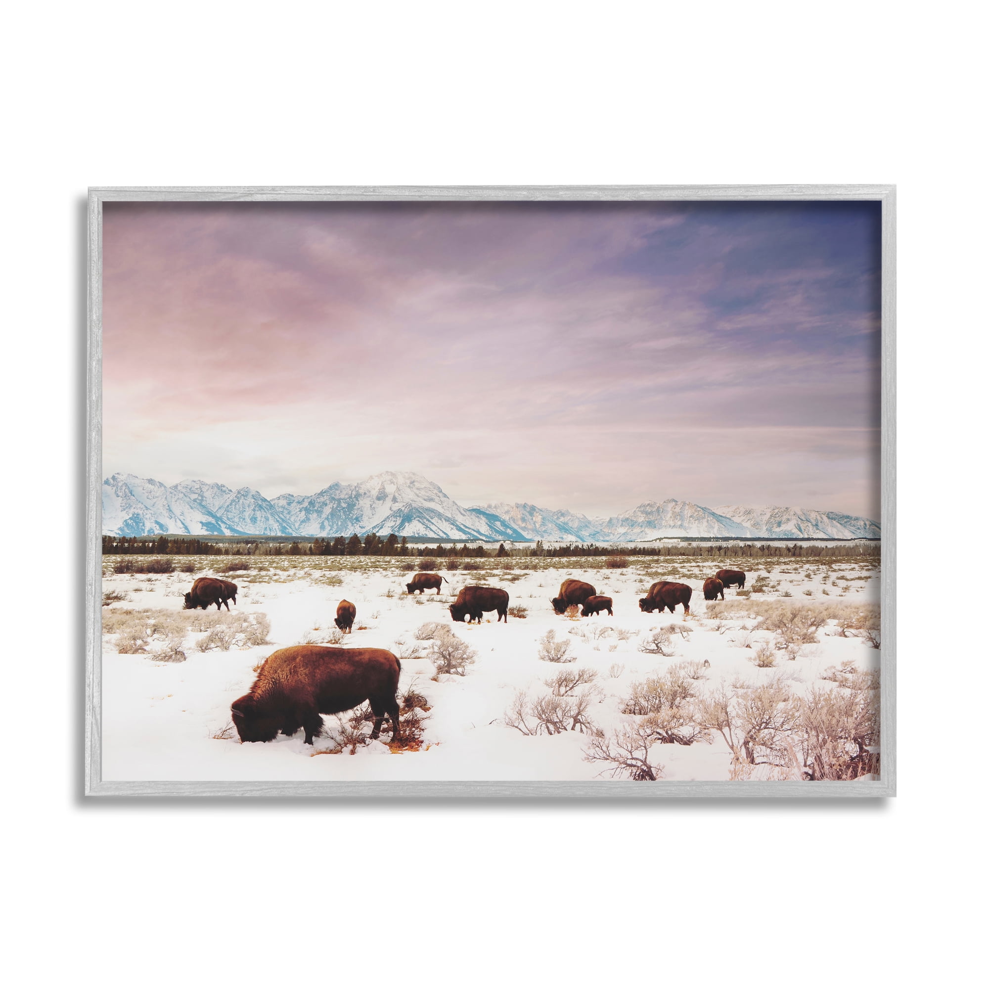 Stupell Industries Bison Desert Mountains Scene Animals & Insects Photography Gray Framed Art Print Wall Art, 30 x 24