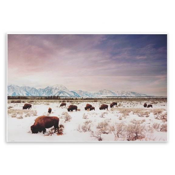 Stupell Industries Rustic Lodge Bison Desert Mountains Scene Wall Plaque Art, 19 x 13, by Annie Bailey Art