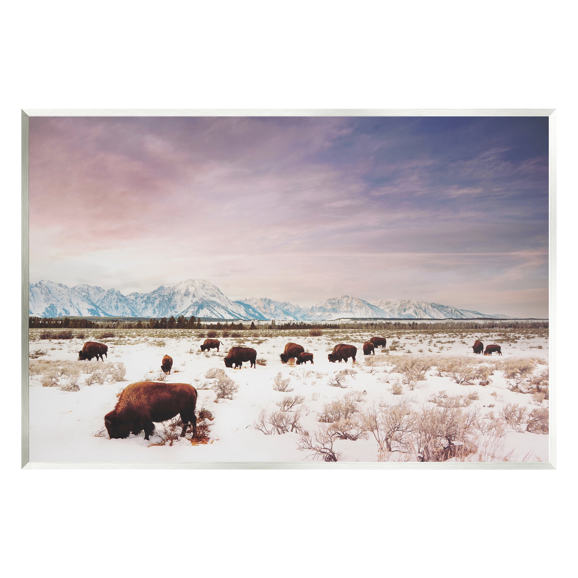 Stupell Industries Bison Desert Mountains Scene Animals & Insects Photography Unframed Art Print Wall Art, 19 x 13