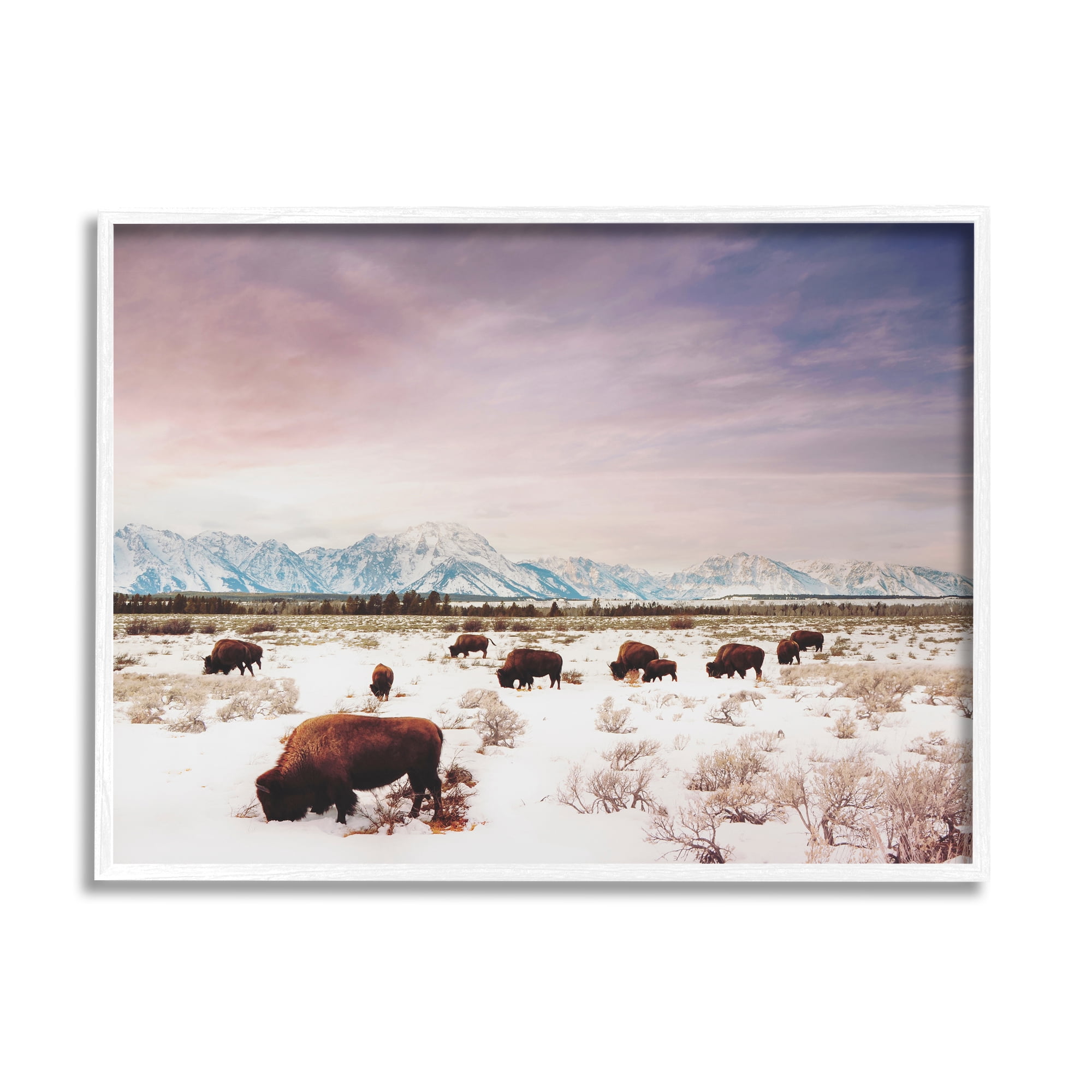 Stupell Industries Bison Desert Mountains Scene Animals & Insects Photography White Framed Art Print Wall Art, 14 x 11