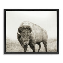 Stupell Industries Bison Distressed Portrait Animals & Insects Photography Black Floater Framed Canvas Art Print Wall Art, 21 x 17