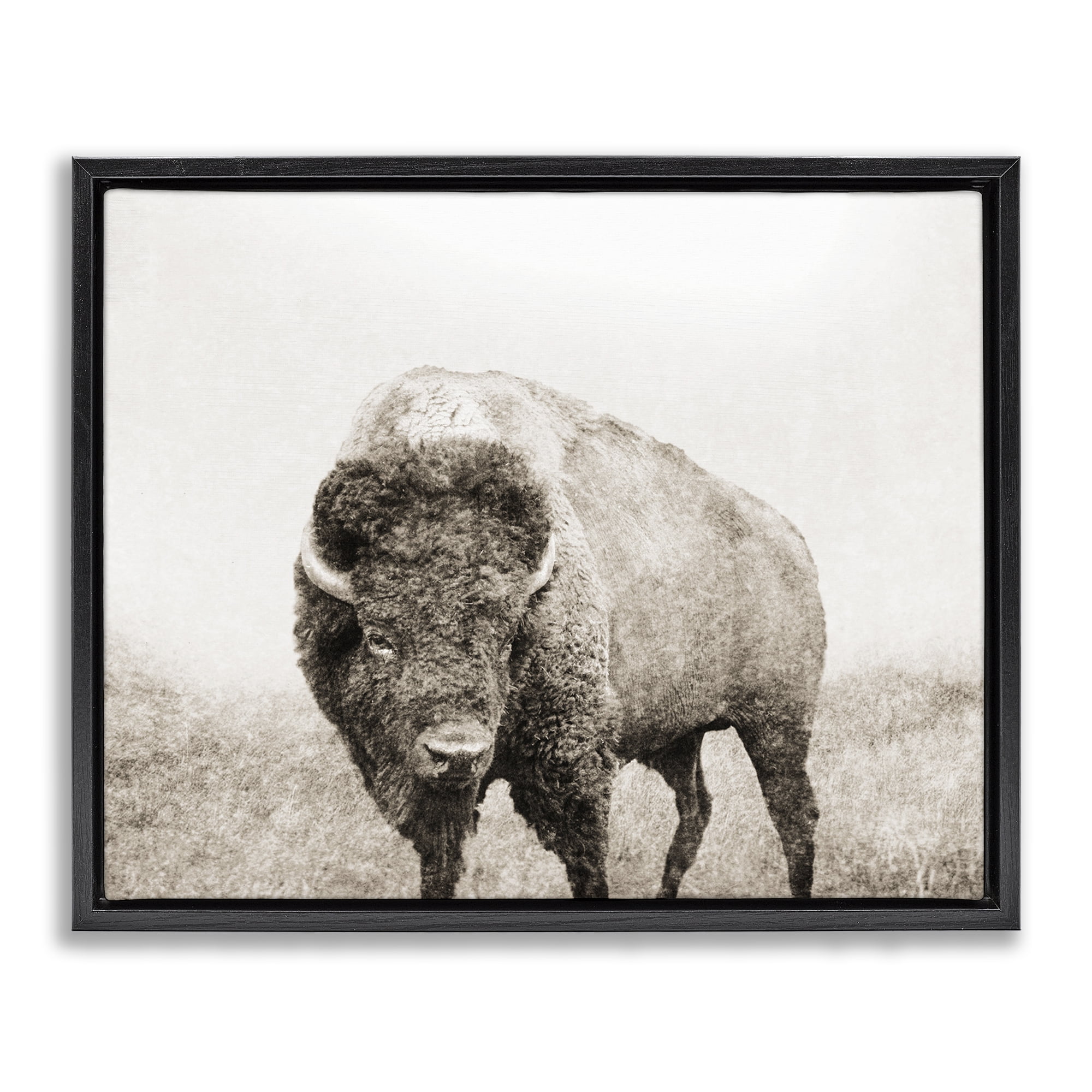 Stupell Industries Bison Distressed Portrait Animals & Insects Photography Black Floater Framed Canvas Art Print Wall Art, 31 x 25