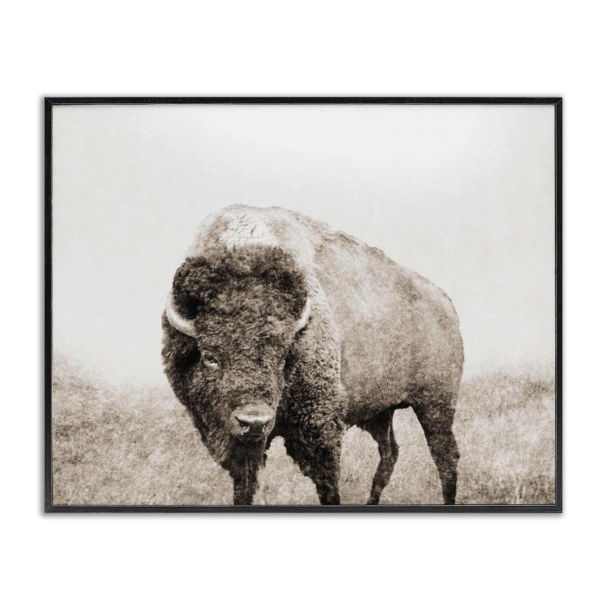 Stupell Industries Bison Distressed Portrait Animals & Insects Photography Black Framed Art Print Wall Art, 20 x 16