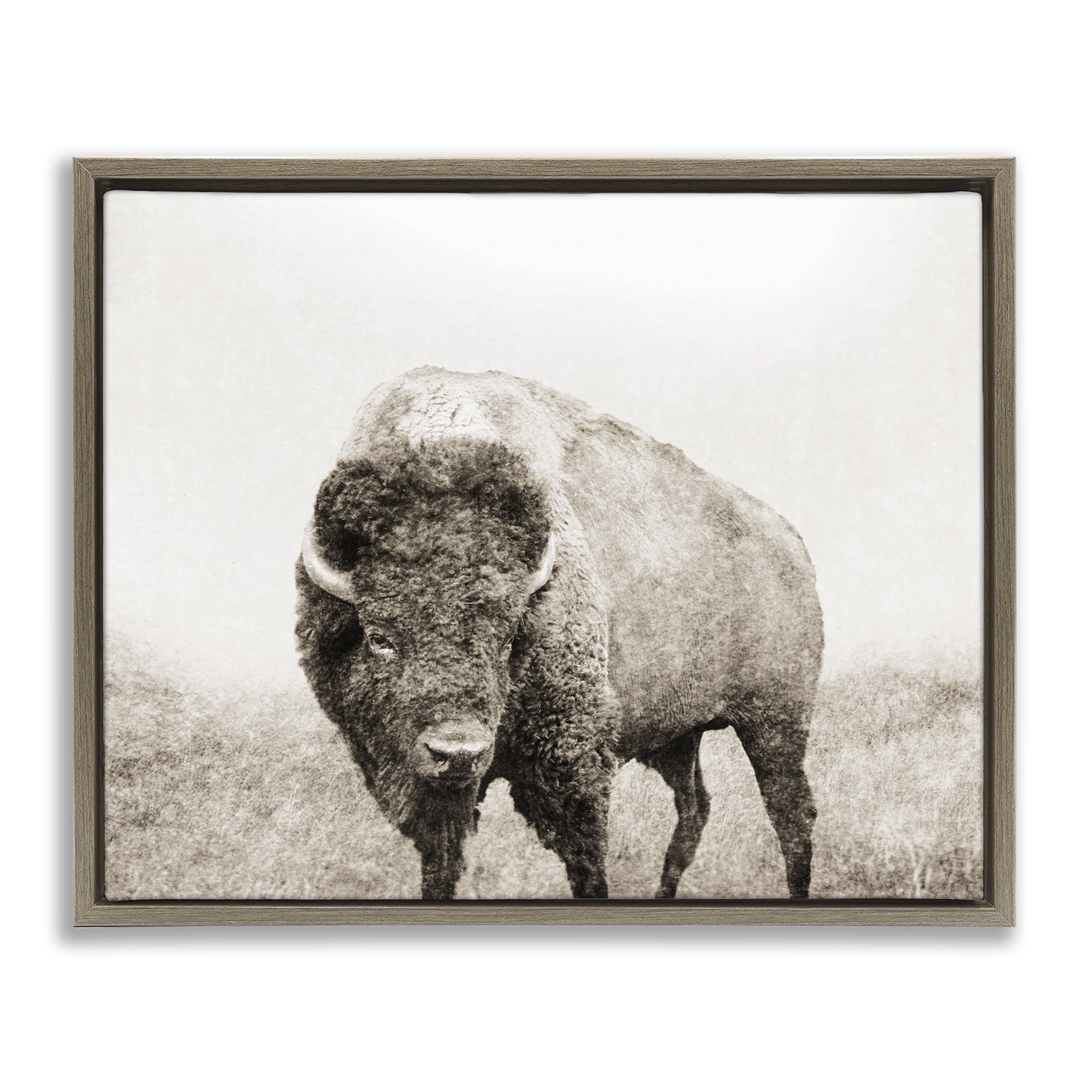 Stupell Industries Bison Distressed Portrait Animals & Insects Photography Brown Floater Framed Canvas Art Print Wall Art, 21 x 17