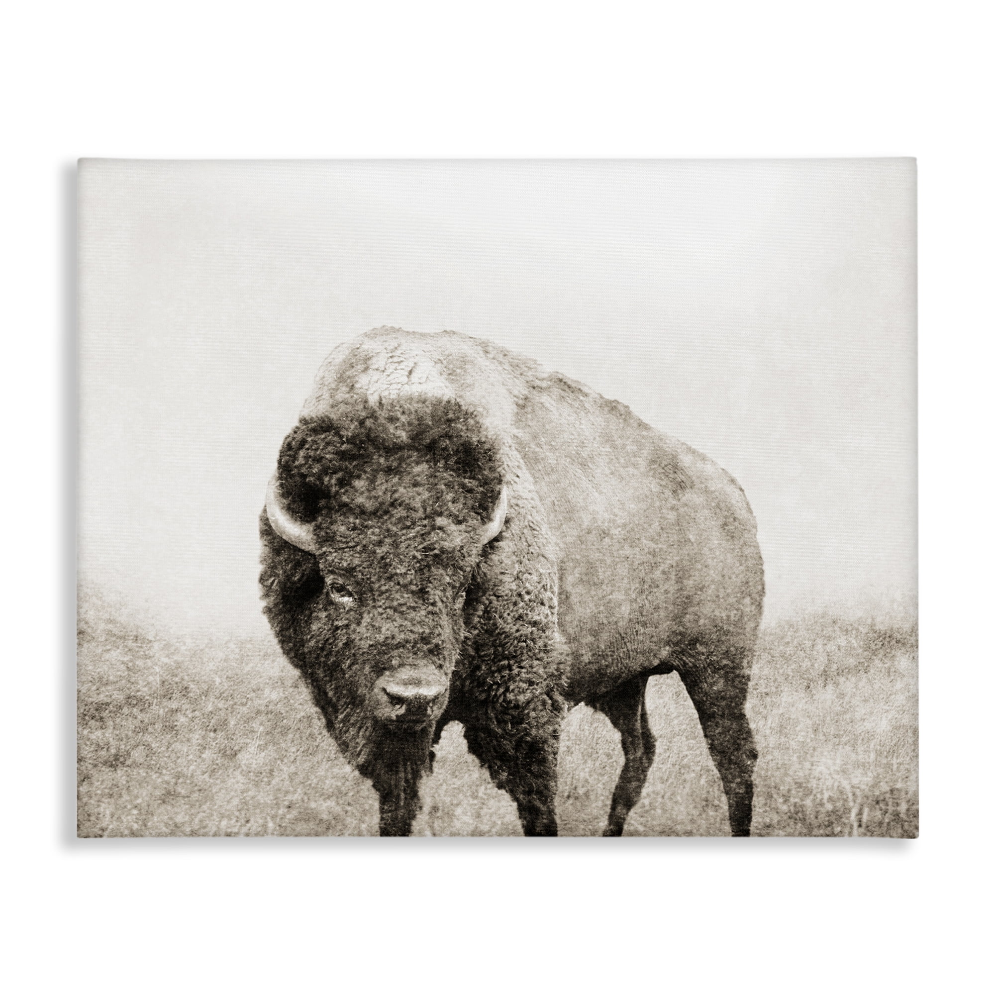 Stupell Industries Bison Distressed Portrait Animals & Insects Photography Gallery Wrapped Canvas Art Print Wall Art, 40 x 30